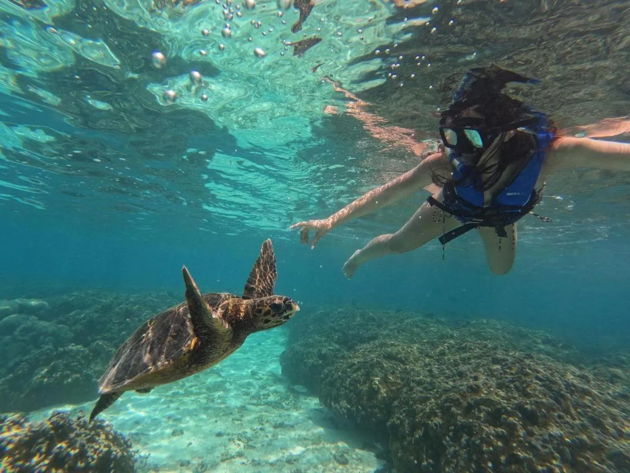 Beach in Belvedere Thoddoo