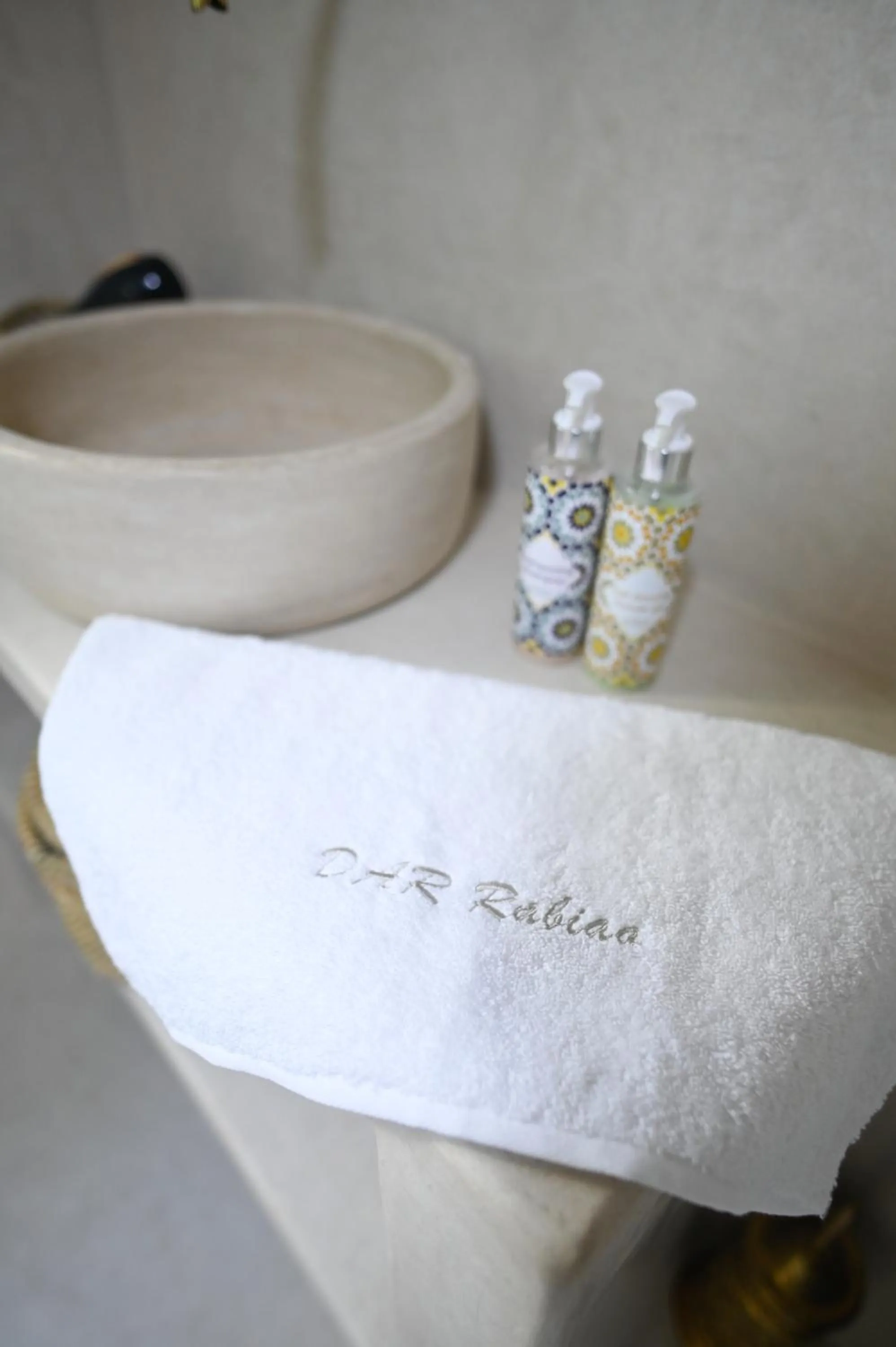 Property logo or sign in Riad Dar Rabiaa