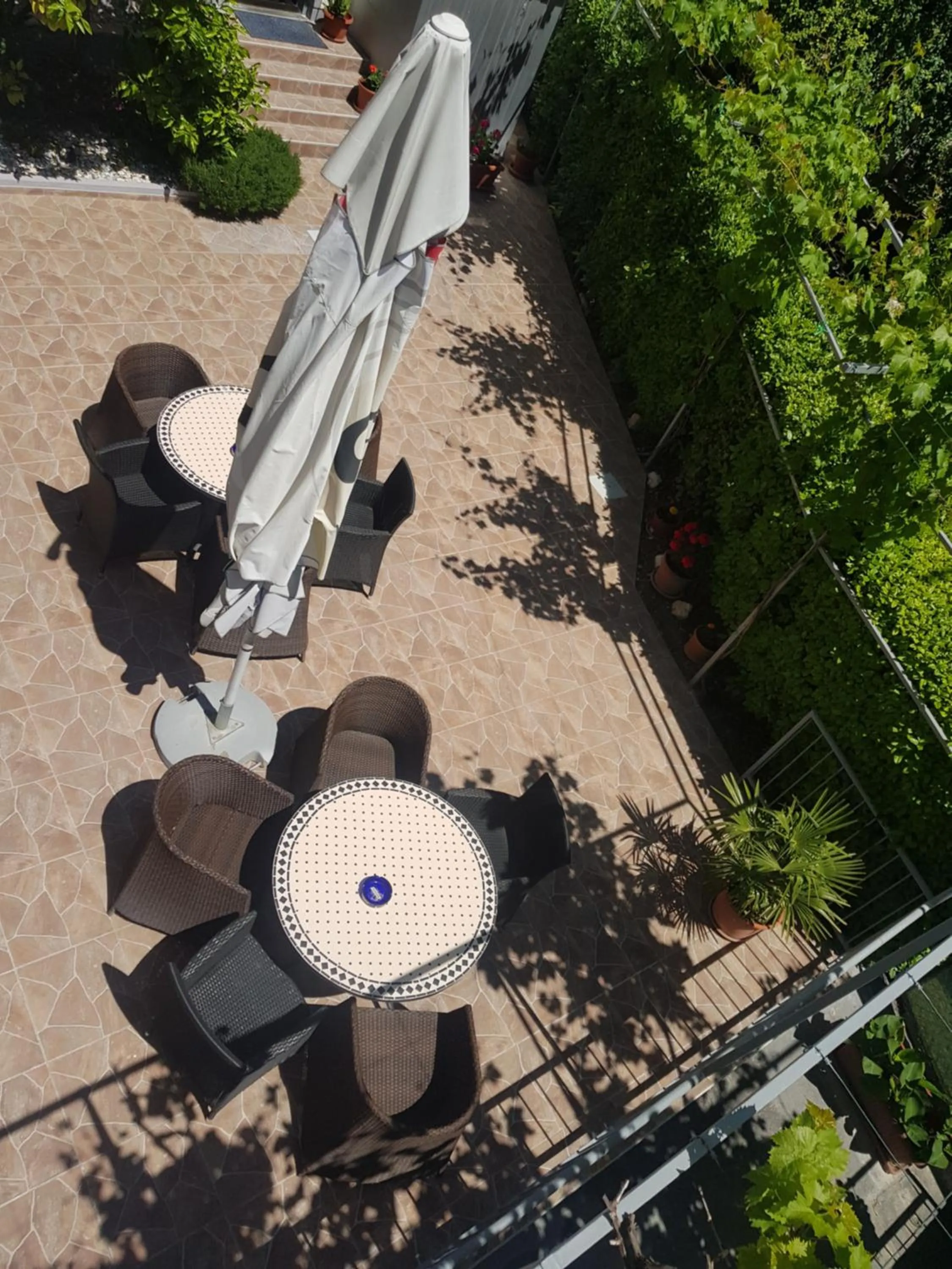 Garden in Guesthouse Varnica