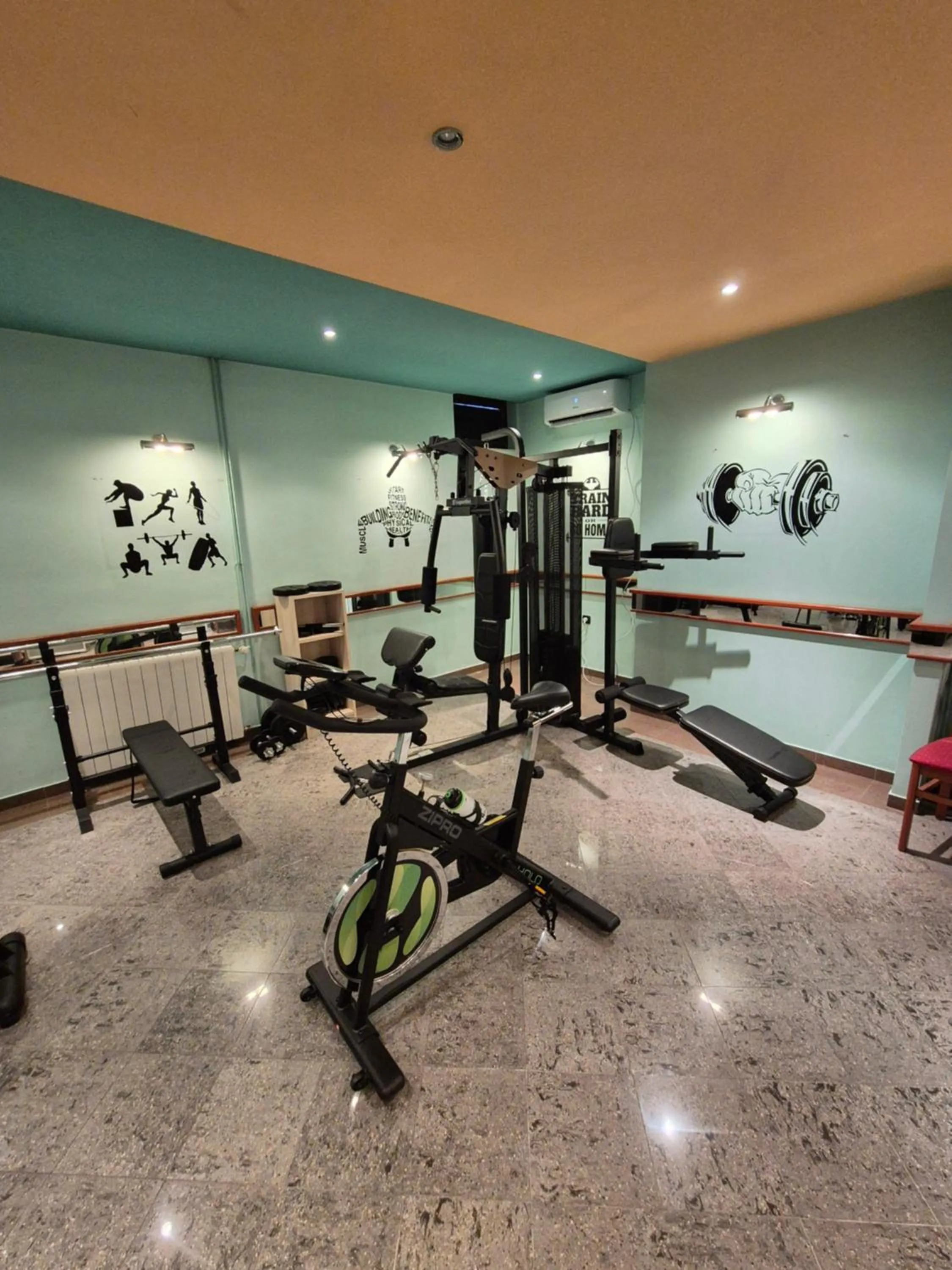 Fitness centre/facilities in Guesthouse Varnica