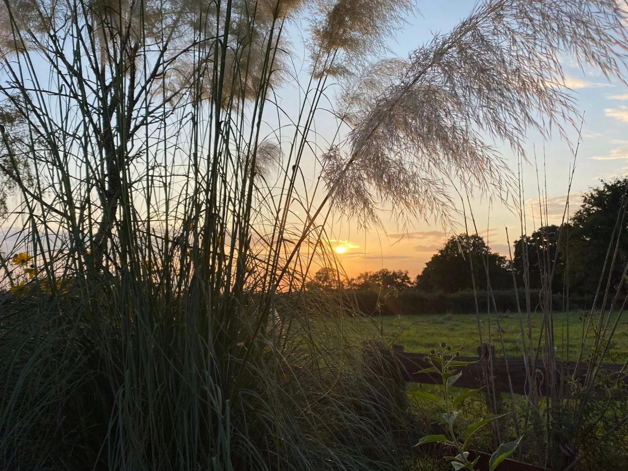 Garden in La Lisière du Morvan