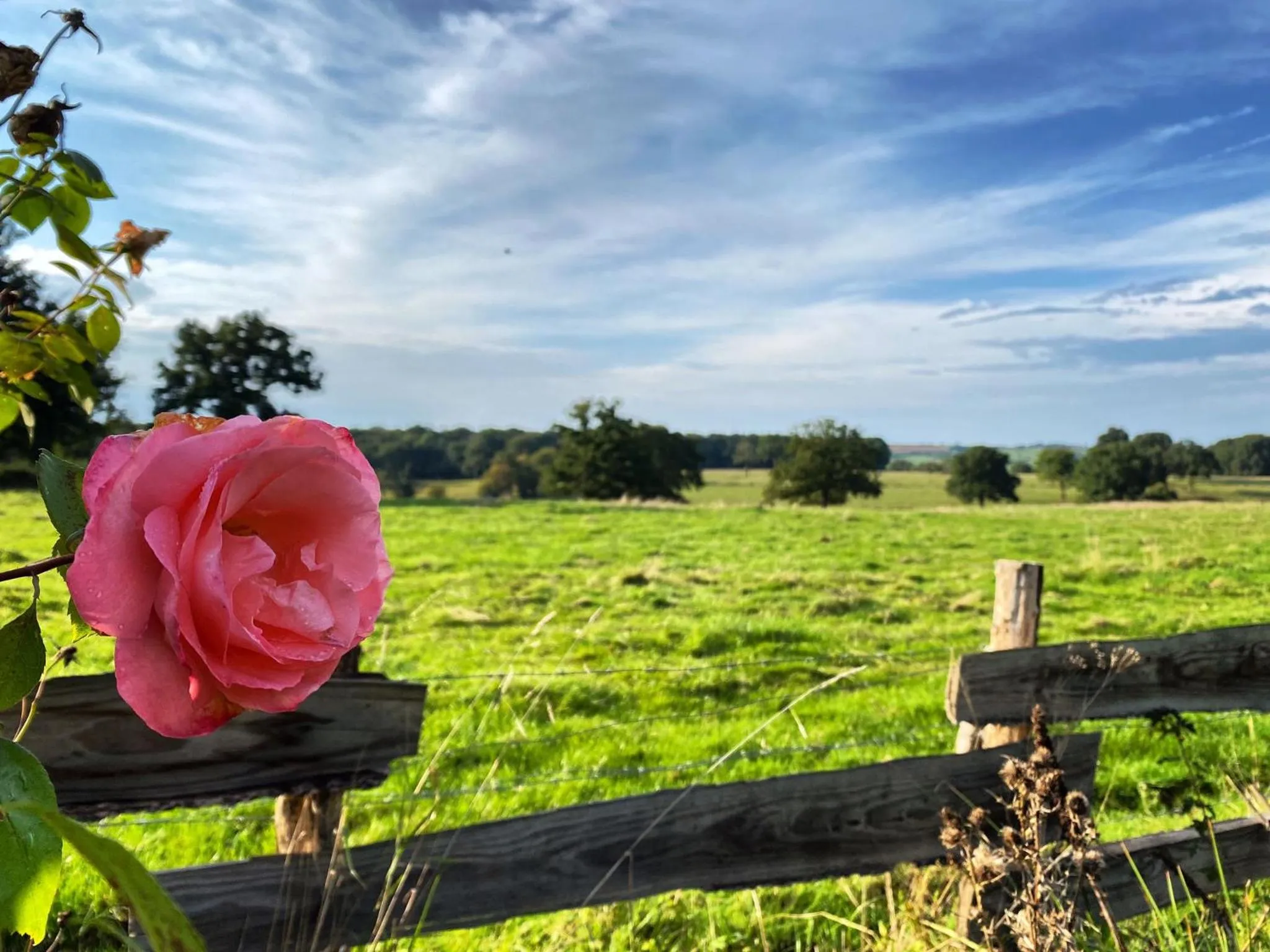 View (from property/room) in La Lisière du Morvan