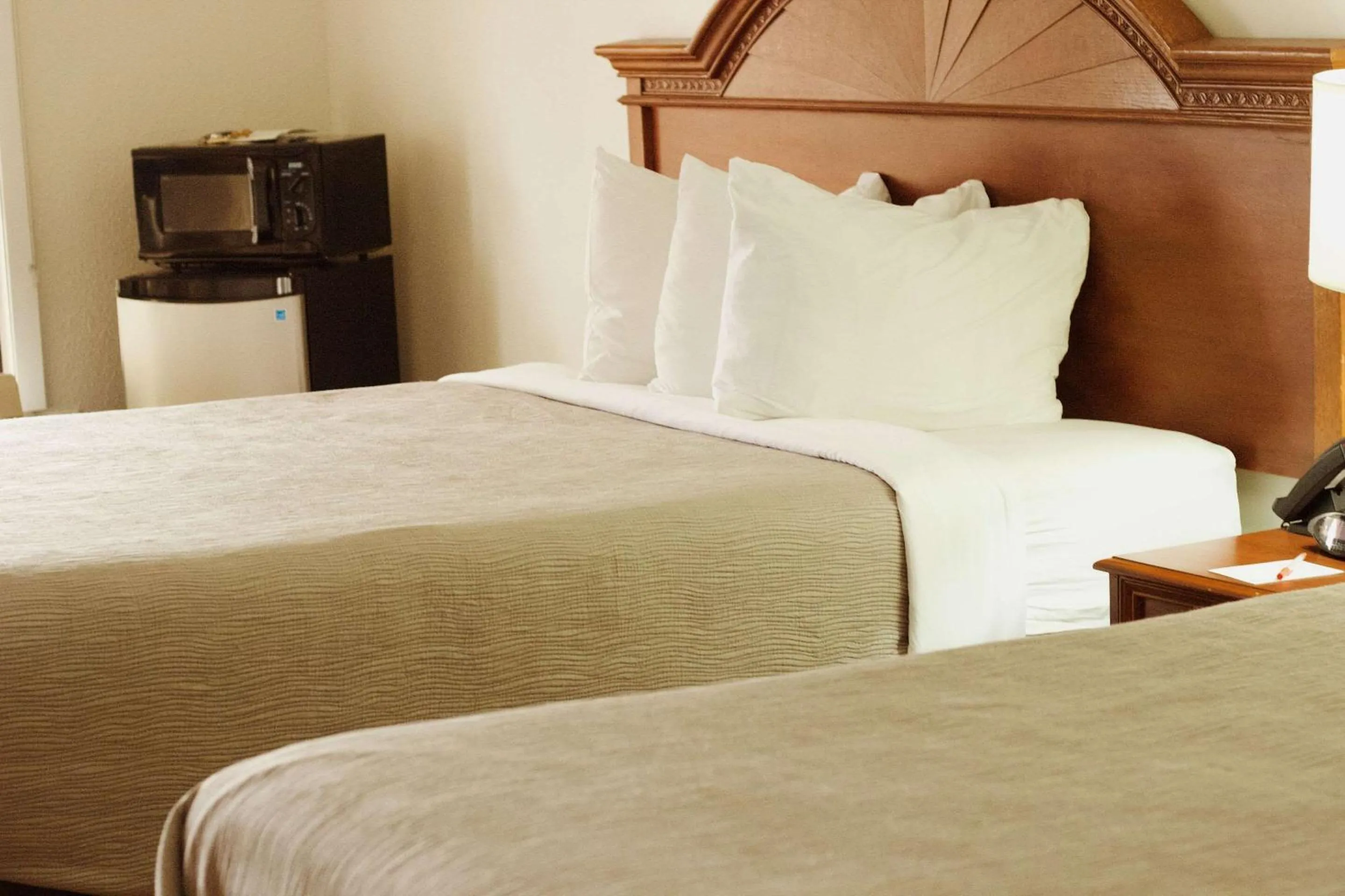 Bedroom, Bed in Quality Inn near Chattanooga South