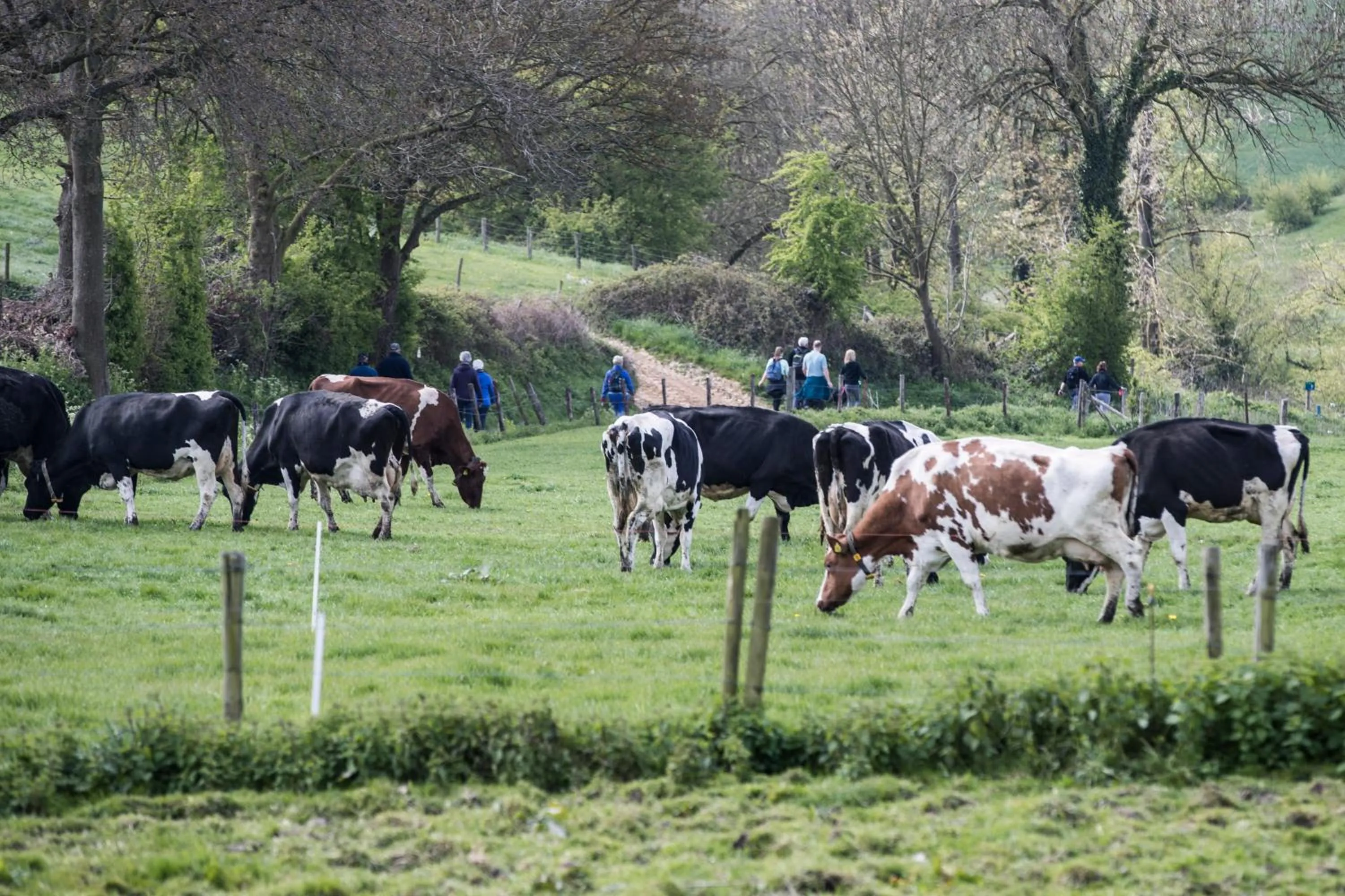 Day in DoubleTree by Hilton Sittard