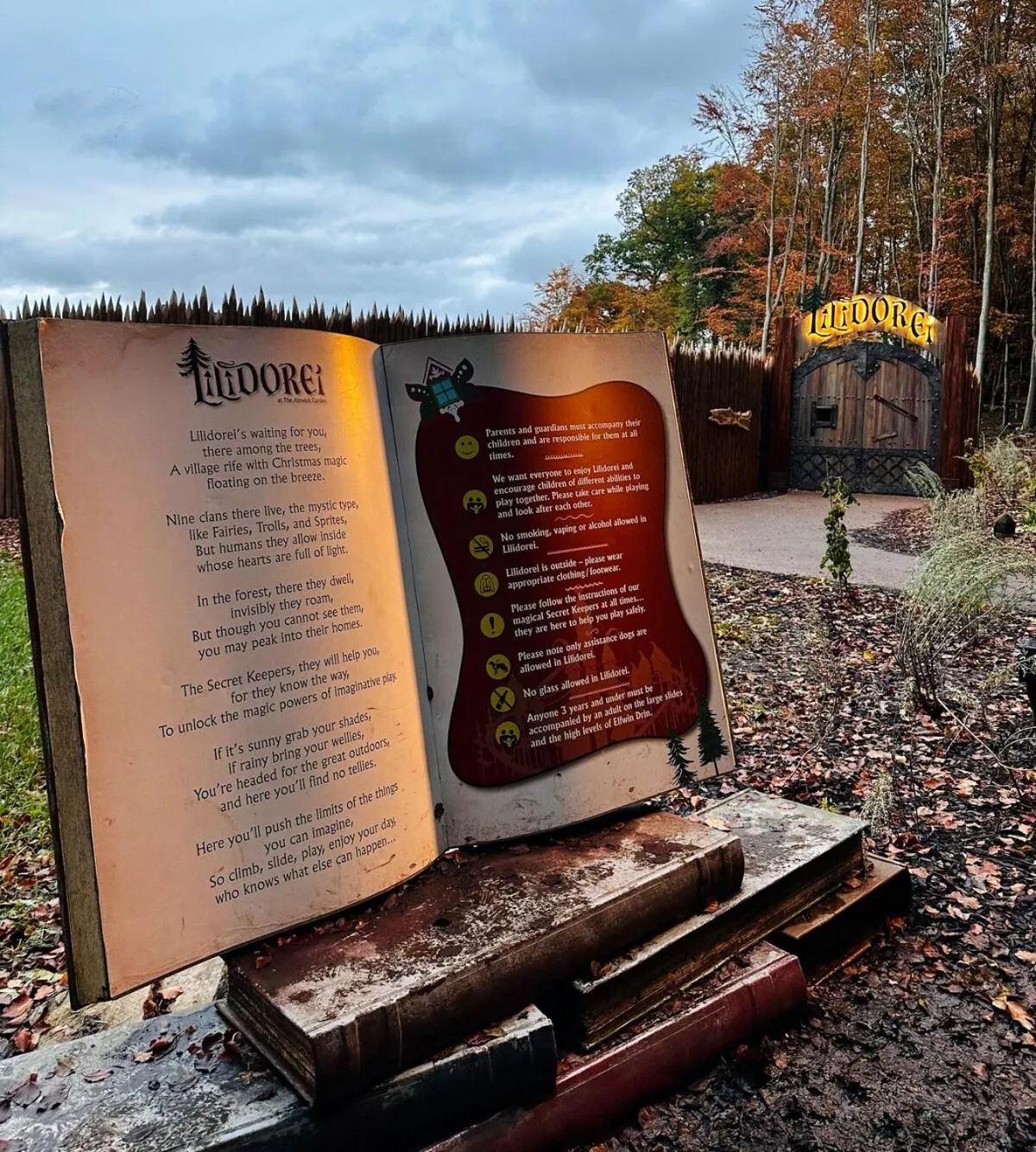 Natural landscape in Bow Alley Lodge