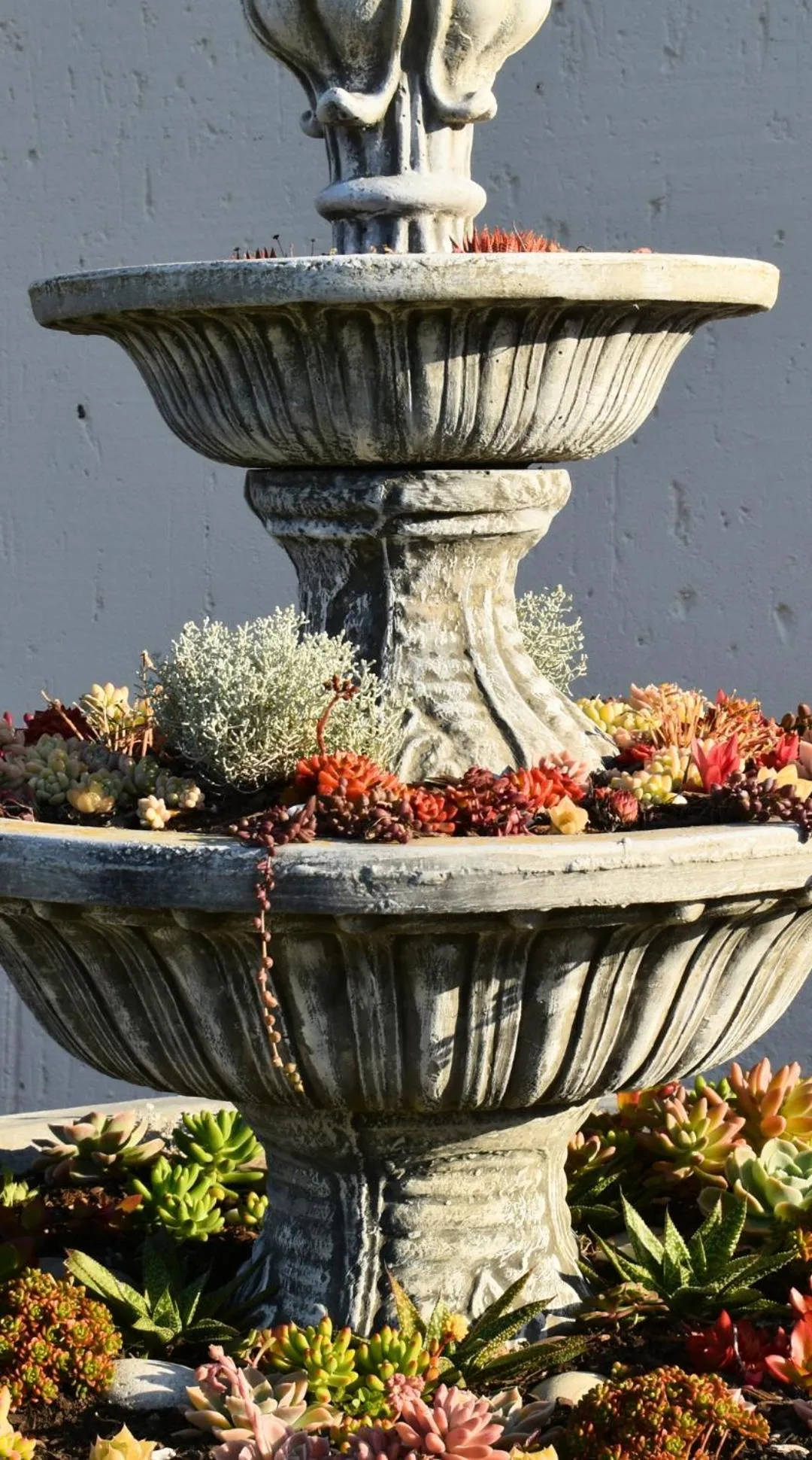 Garden in Dibiki Holiday Resort