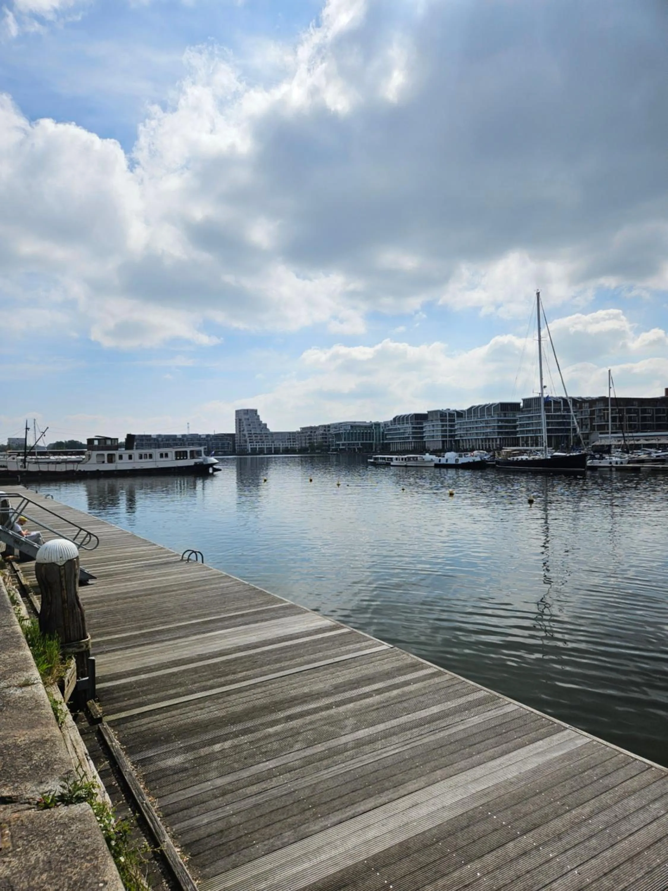 Pool view in Waterfront Studio