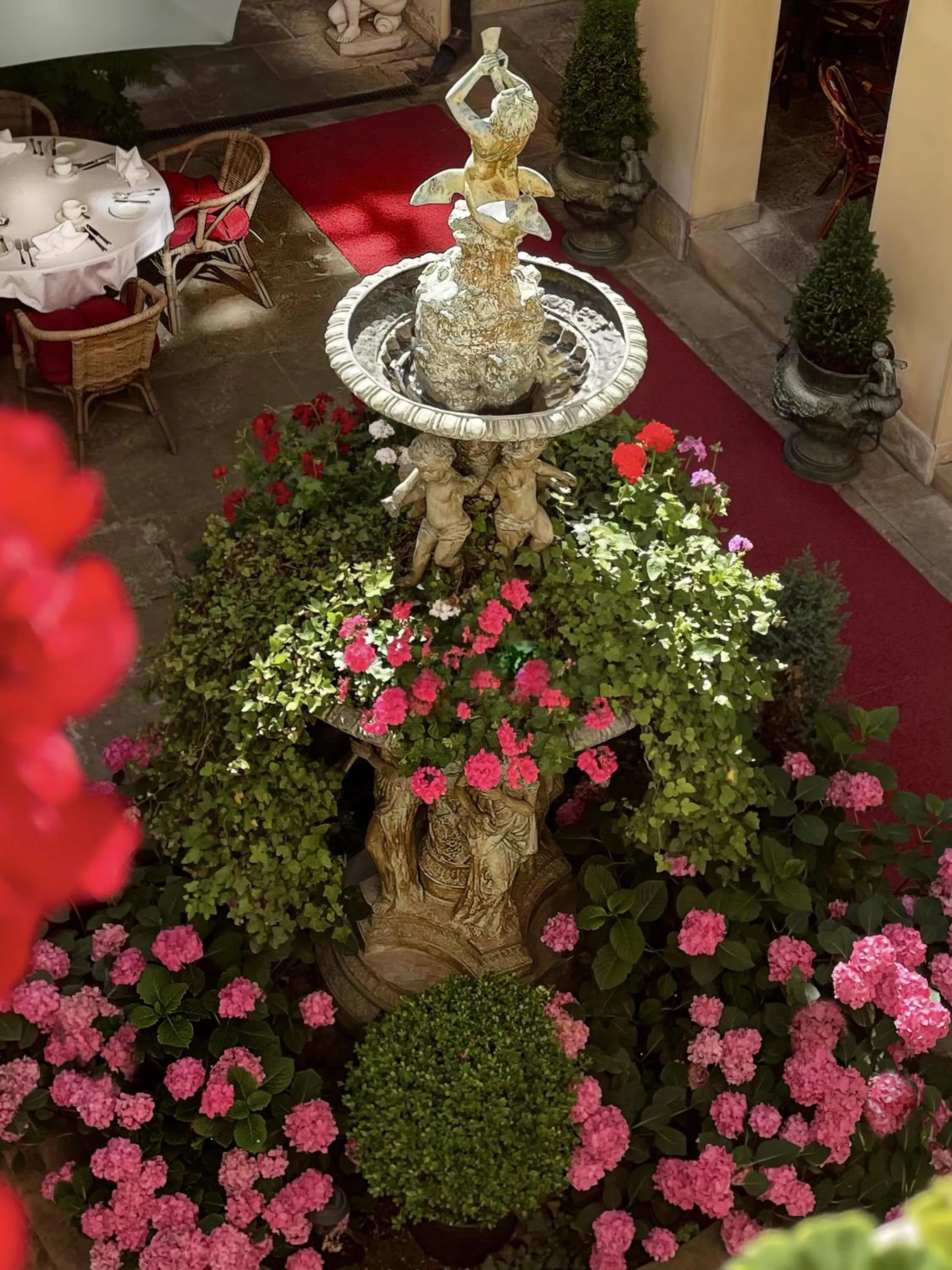 Garden in Alchymist Grand Hotel and Spa