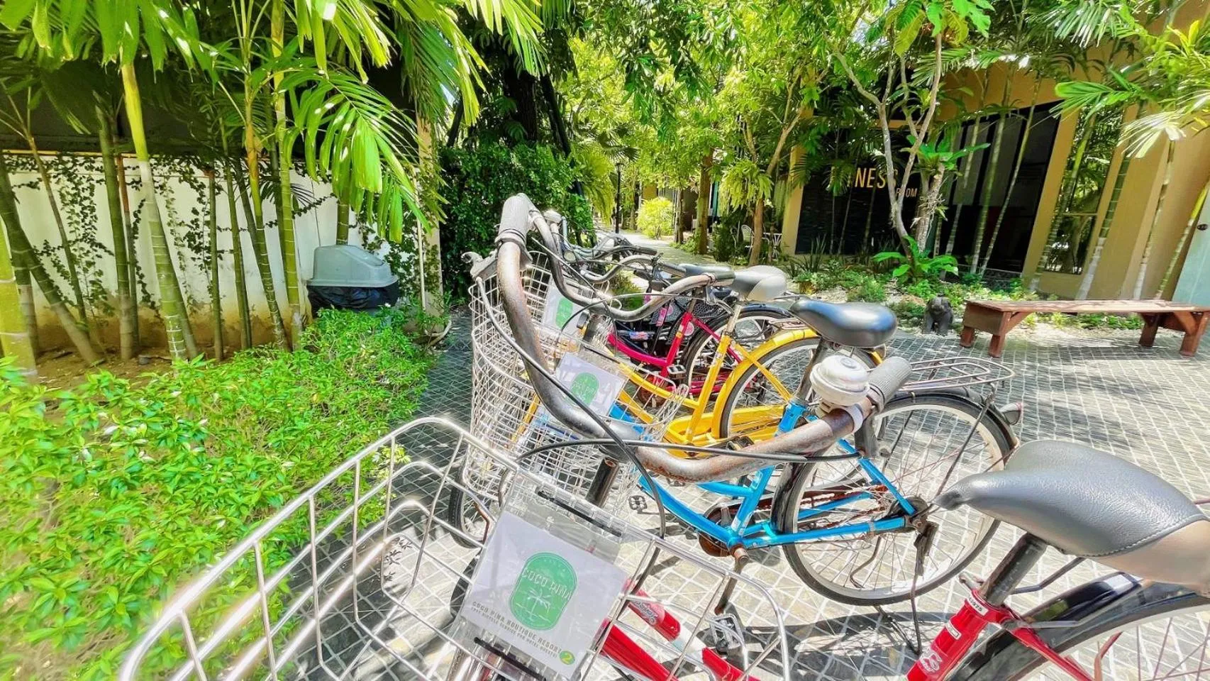 Cycling in Coco Pina