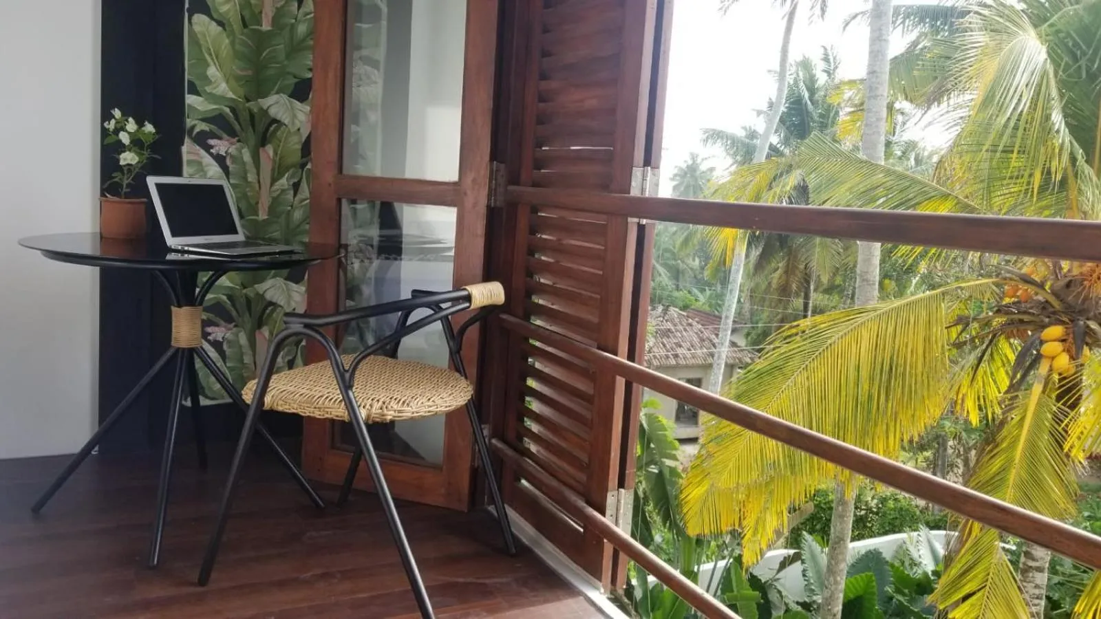 Garden view in Colive Ahangama