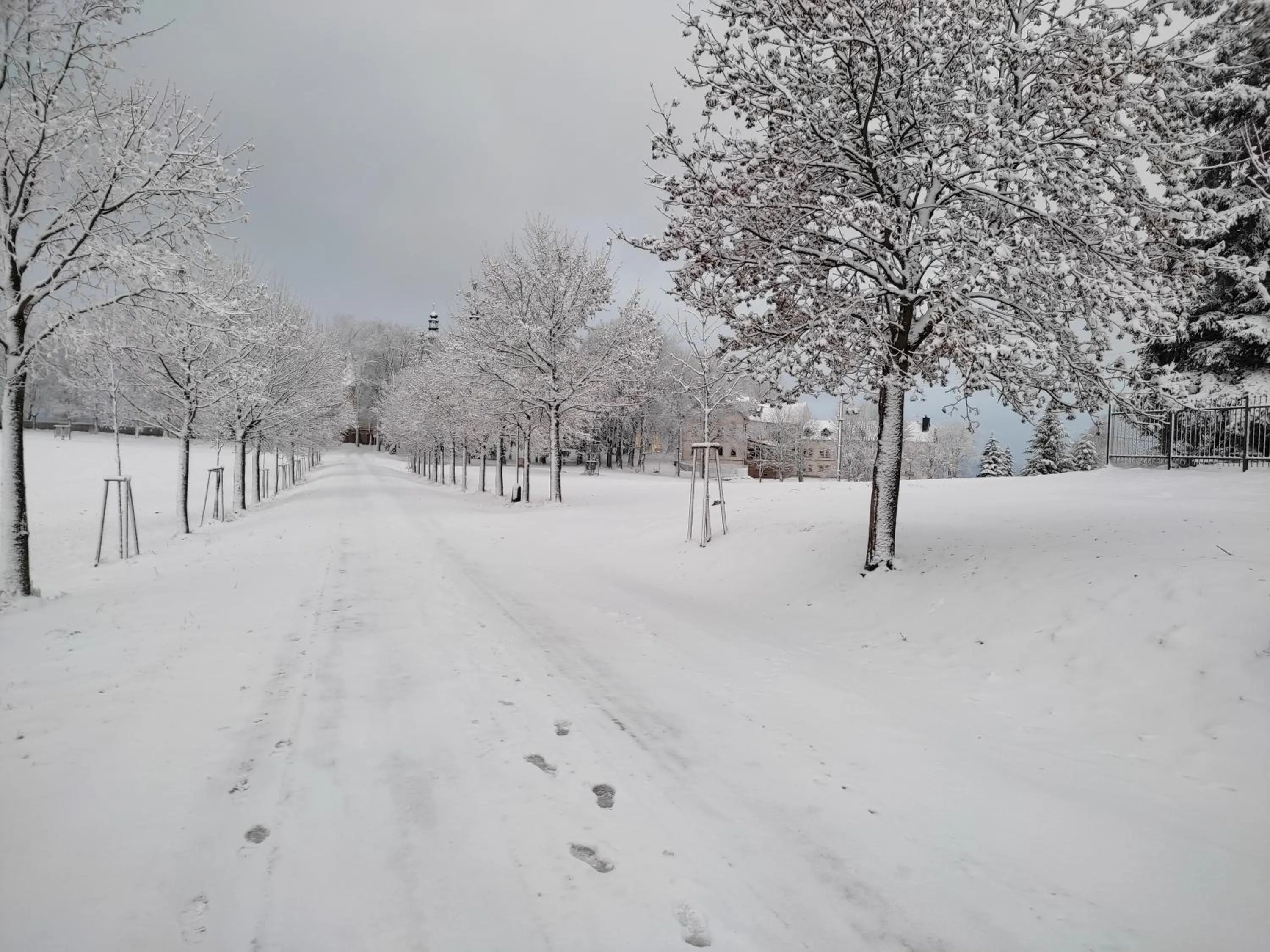 Natural landscape in Hotel Poutní Dům