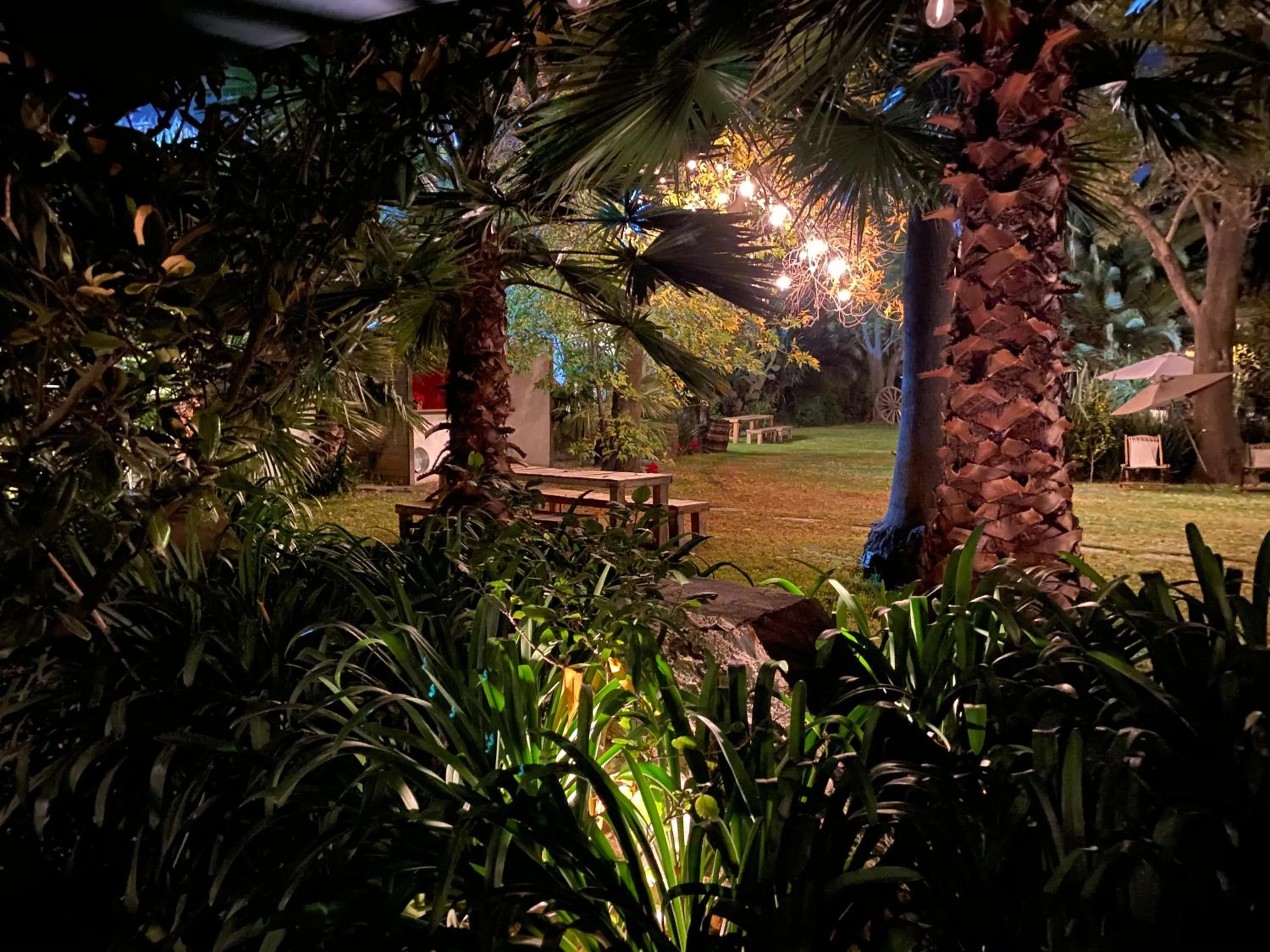 Night in Posada Colibri - Hotel & Spa