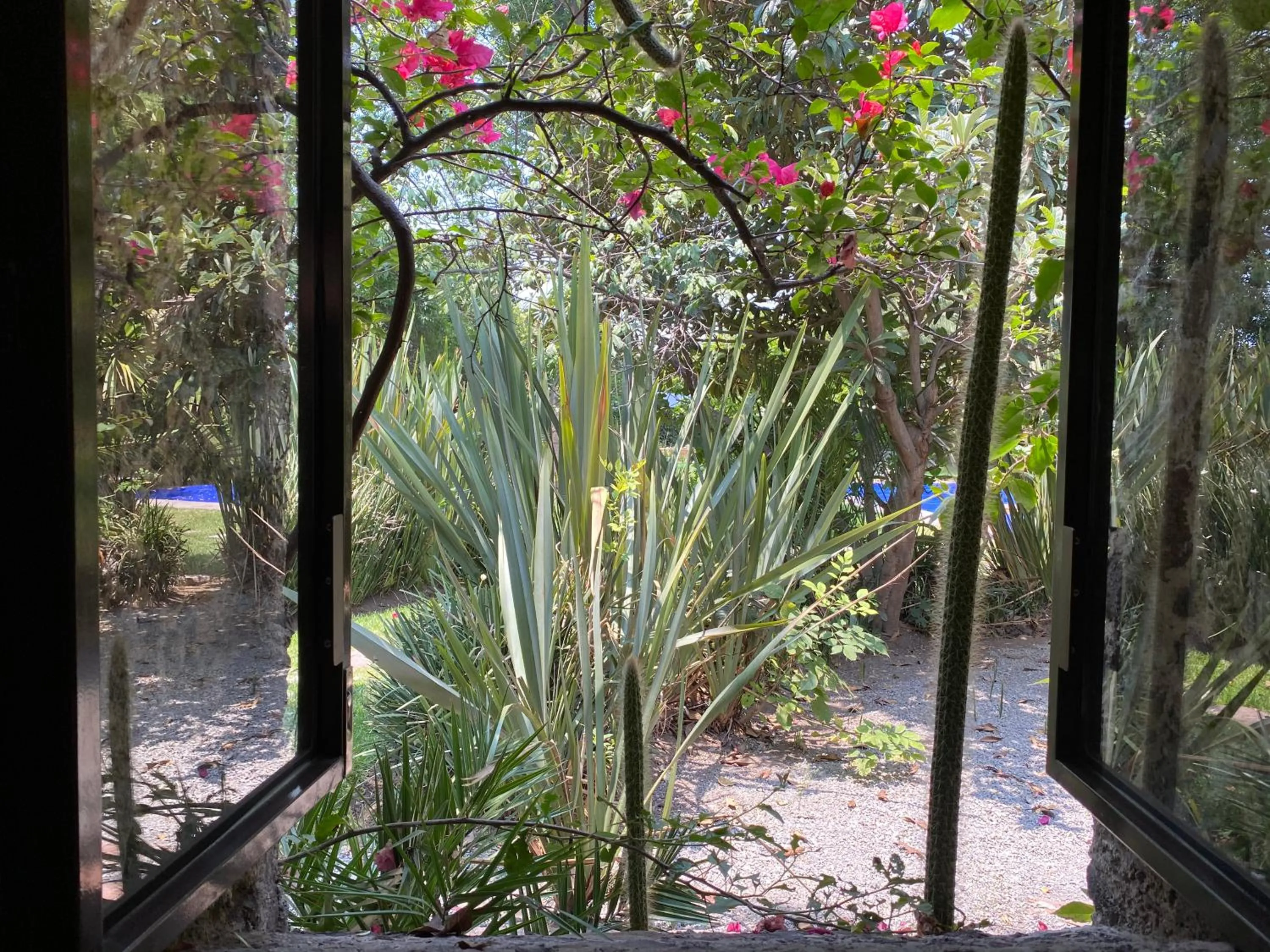 Garden view in Posada Colibri - Hotel & Spa