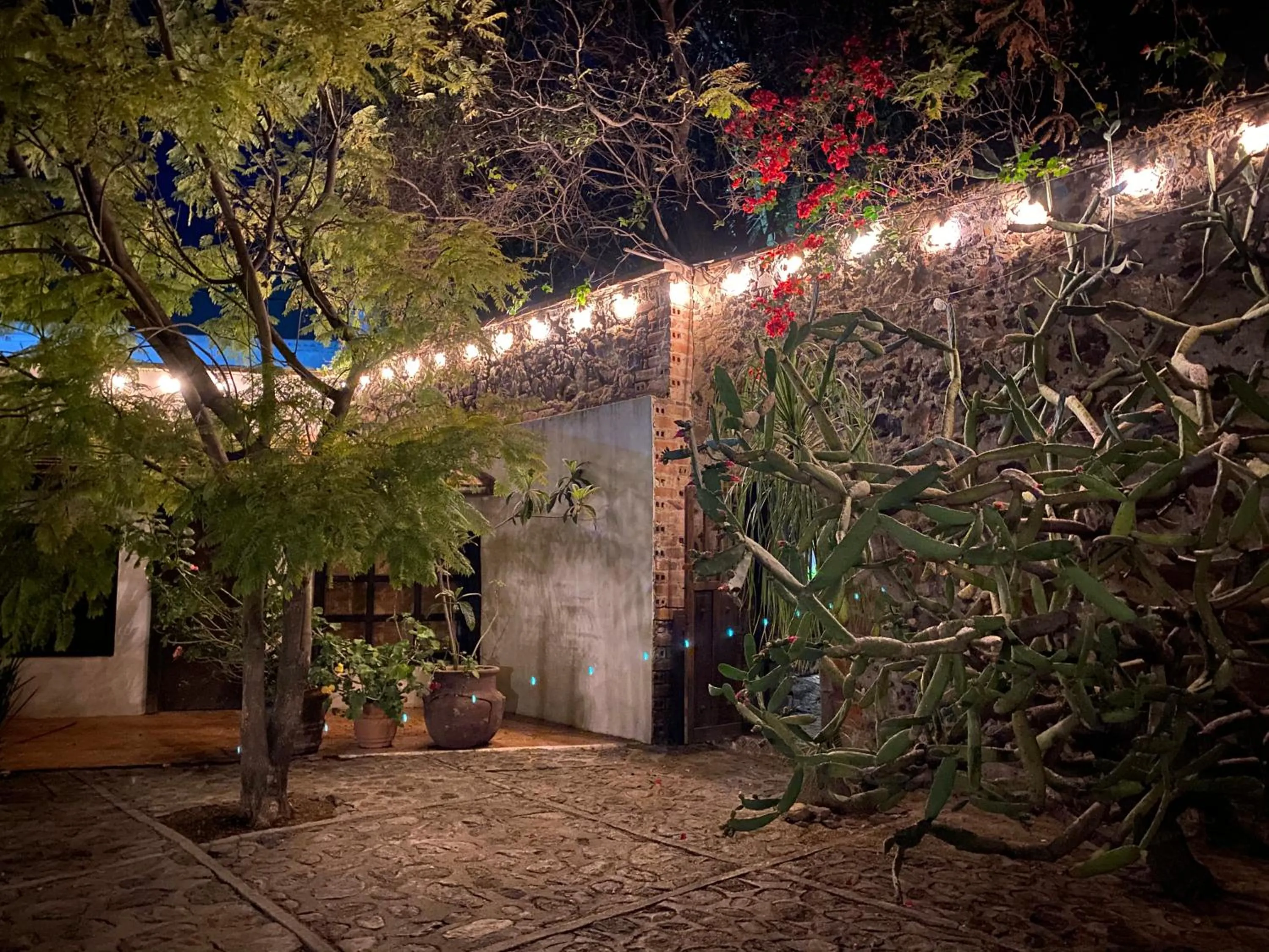 Patio in Posada Colibri - Hotel & Spa