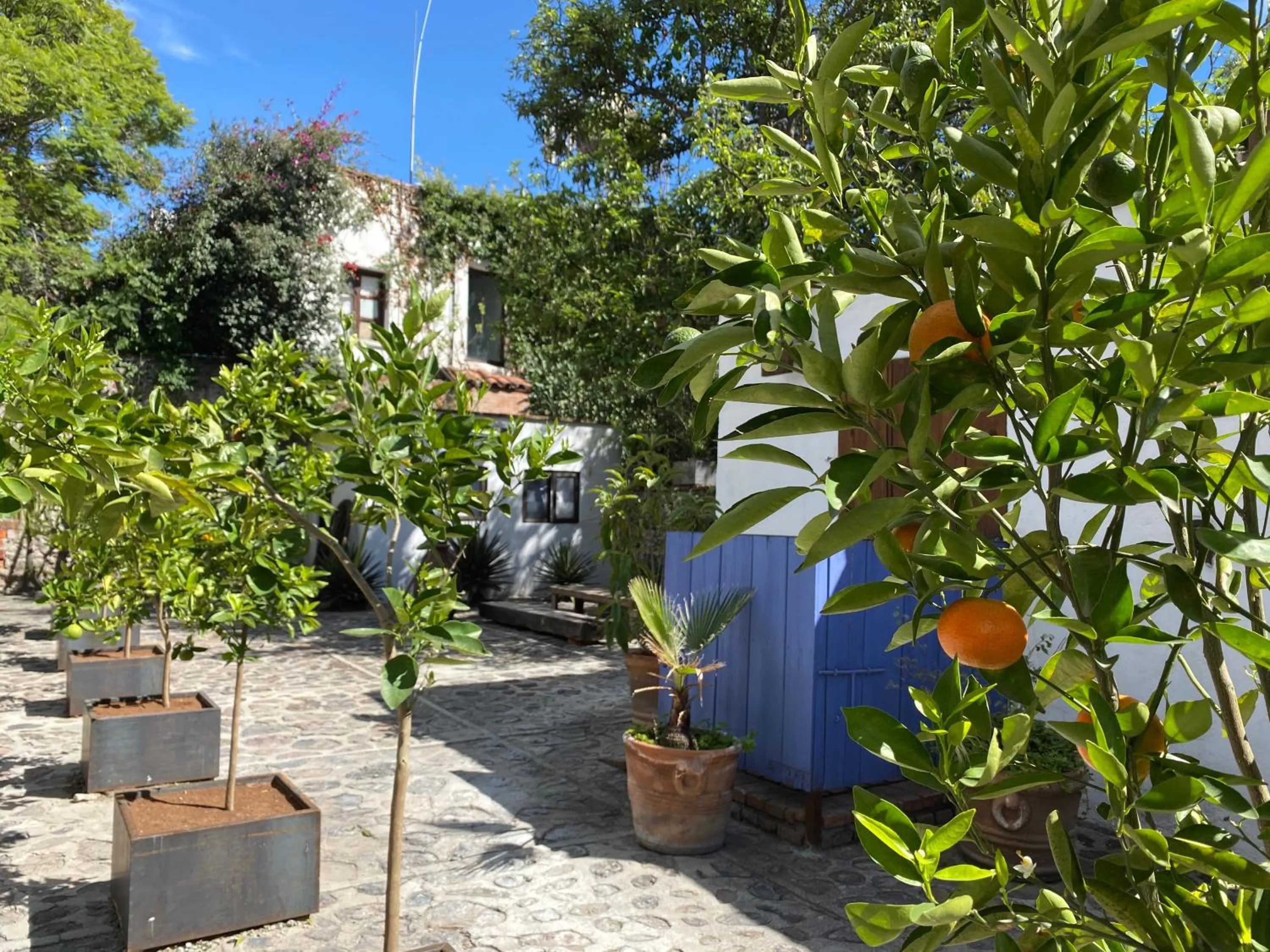 Patio in Posada Colibri - Hotel & Spa