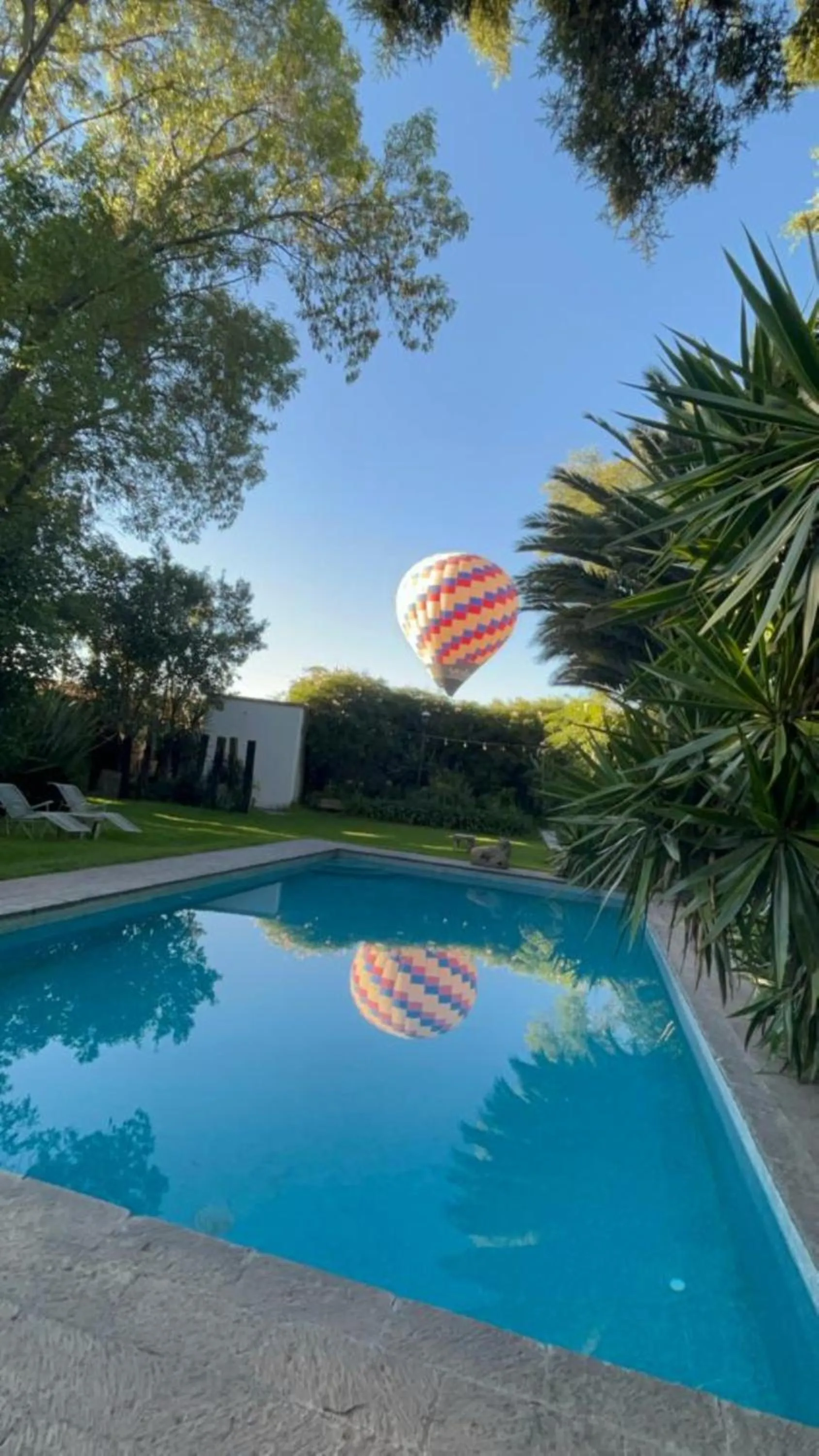 Garden in Posada Colibri - Hotel & Spa