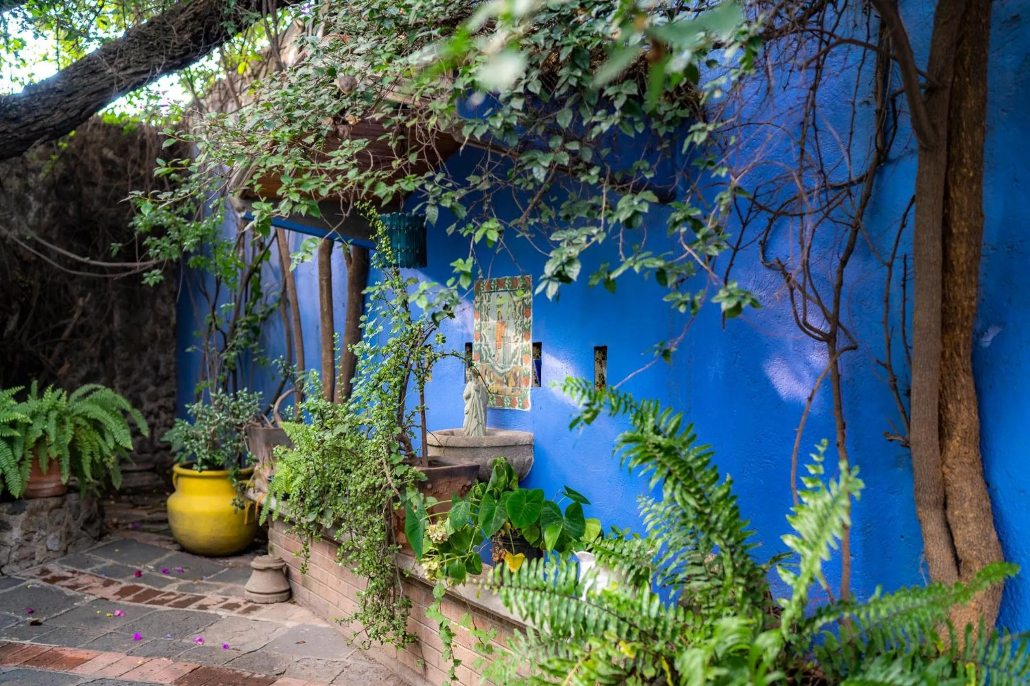 Patio in Posada Colibri - Hotel & Spa