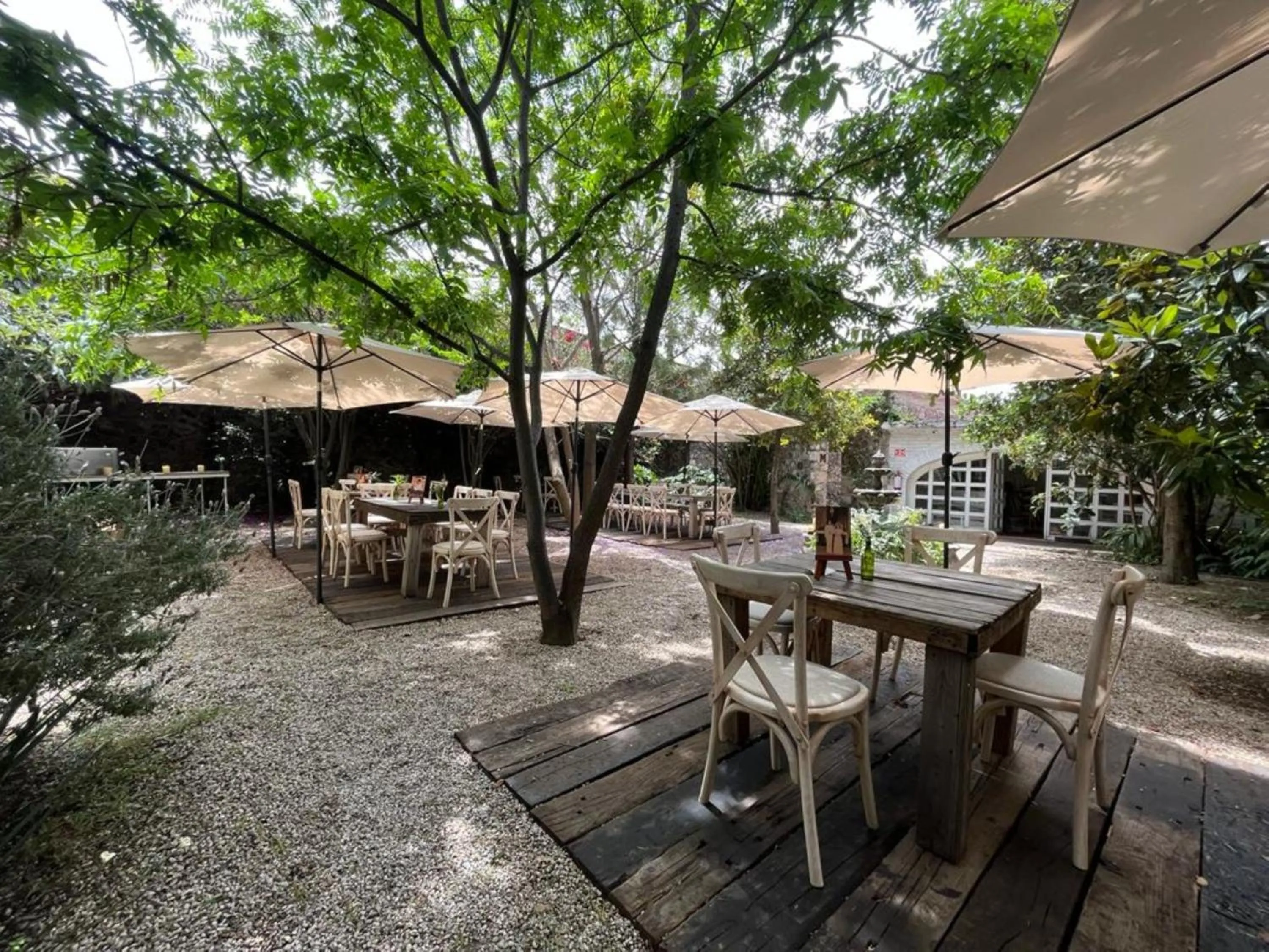 Restaurant/places to eat in Posada Colibri - Hotel & Spa