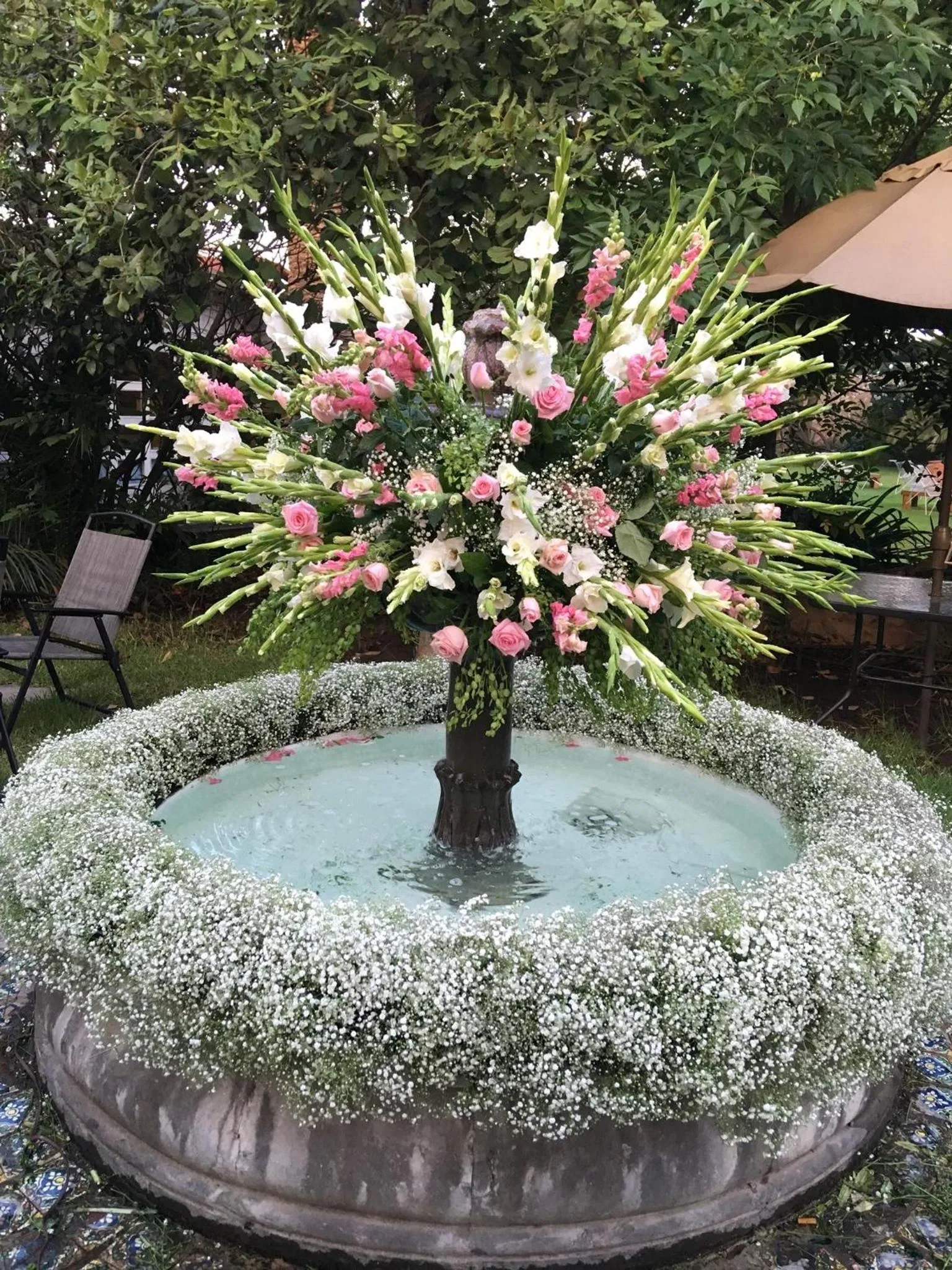 Garden in Posada Colibri - Hotel & Spa