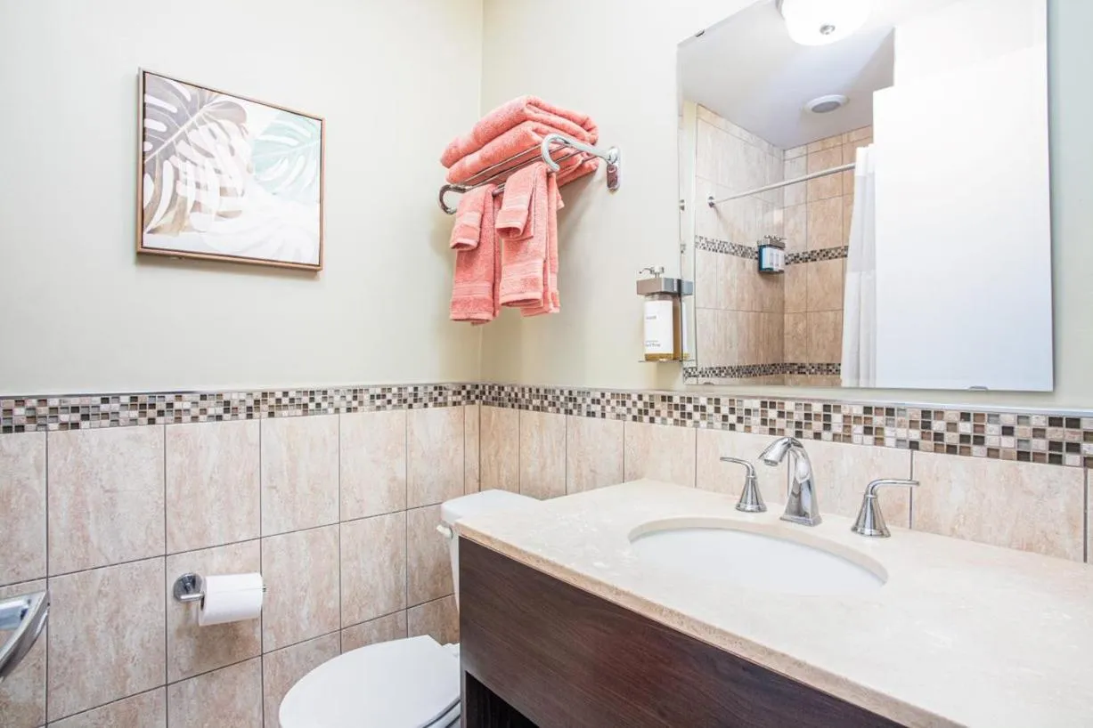 Bathroom in The Local - St. Augustine