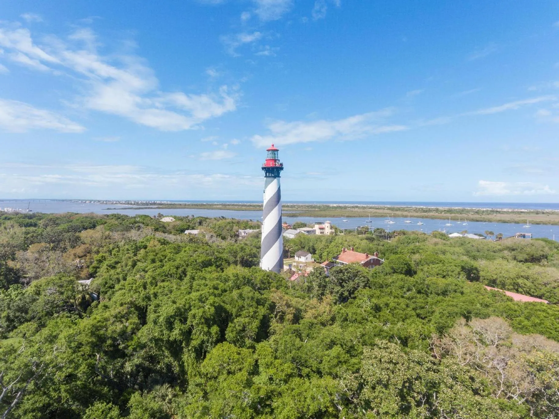 Swimming pool in The Local - St. Augustine