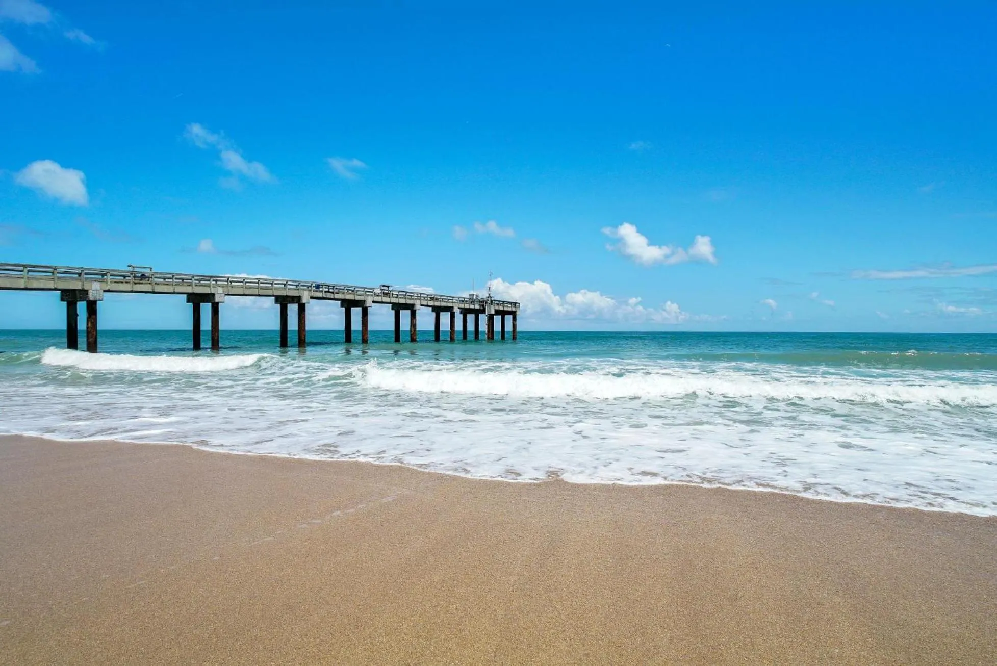 Natural landscape in The Local - St. Augustine