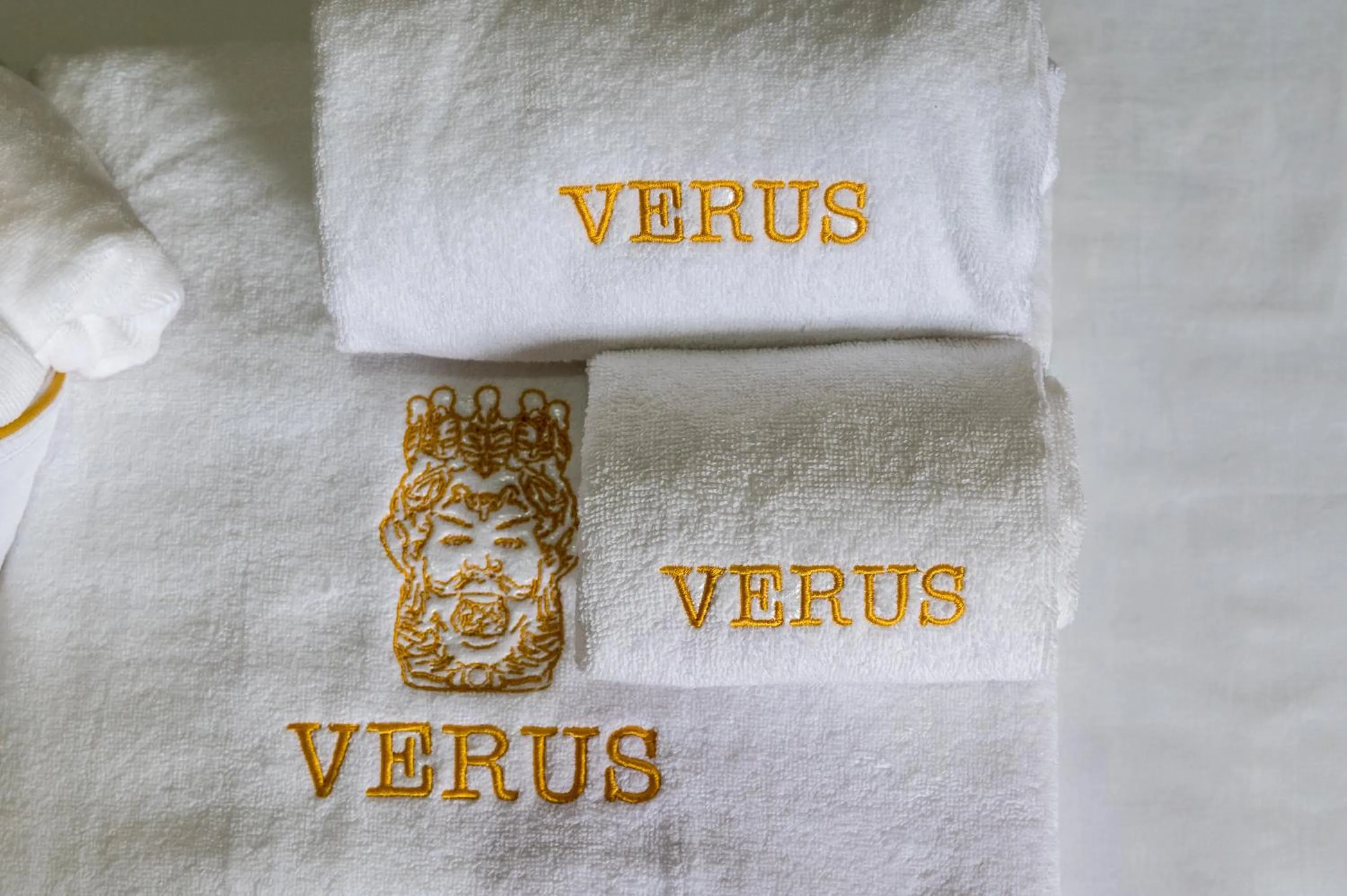 Decorative detail in Verus Room