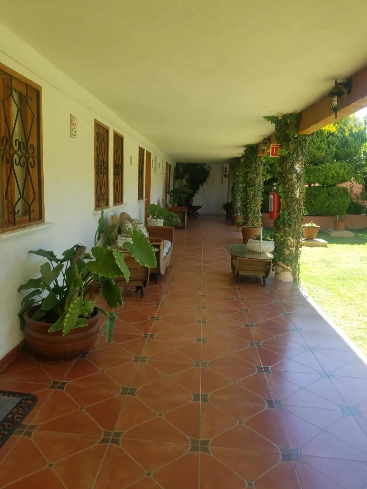 Hotel Ollin Teotl