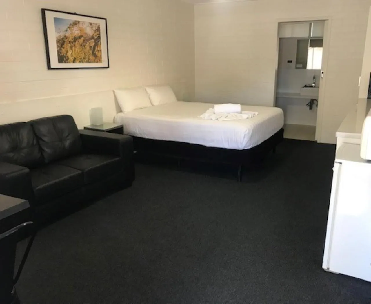 Queen Room in Vineland Motel Mildura