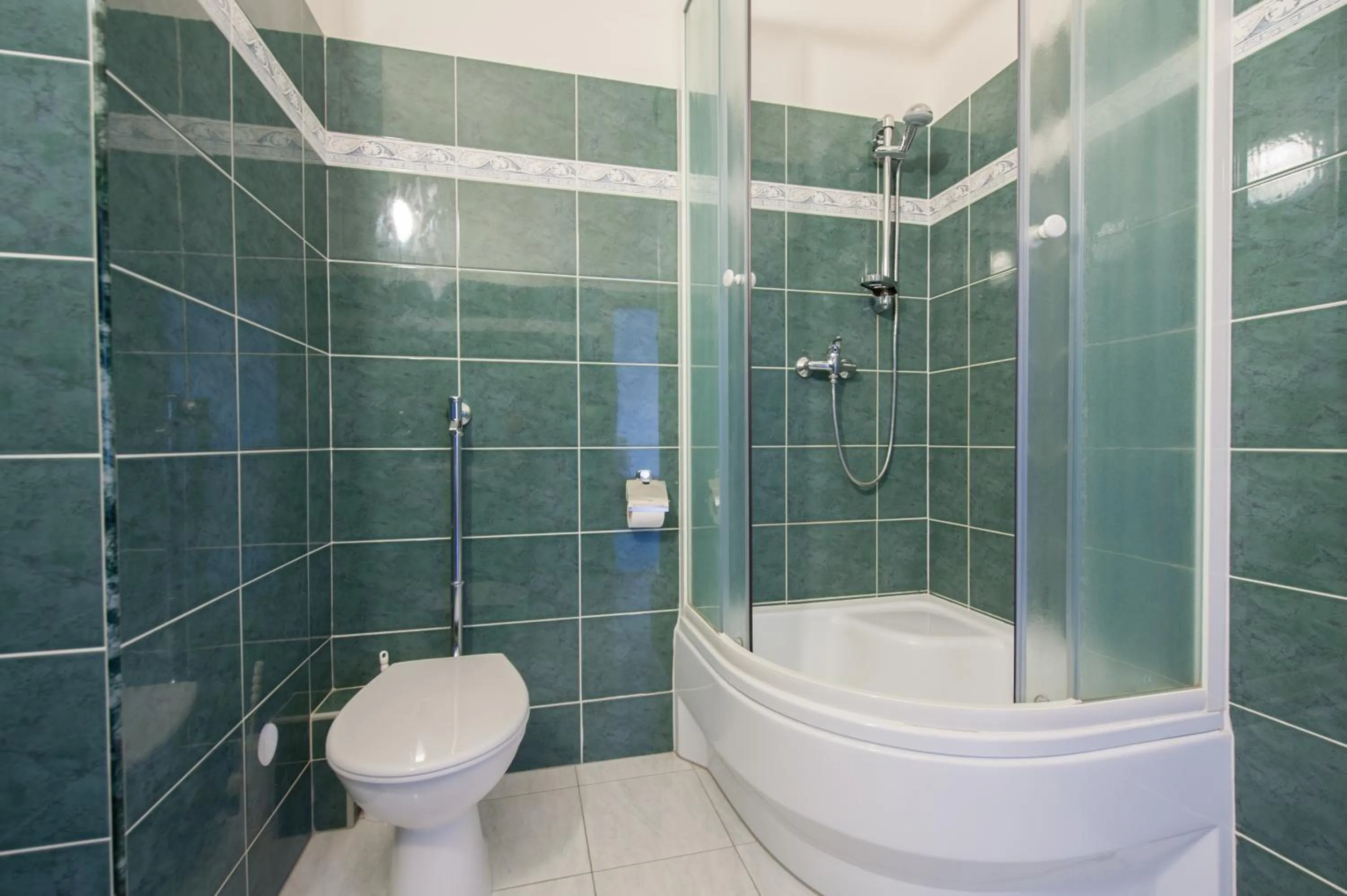 Bathroom in Hotel v Centru