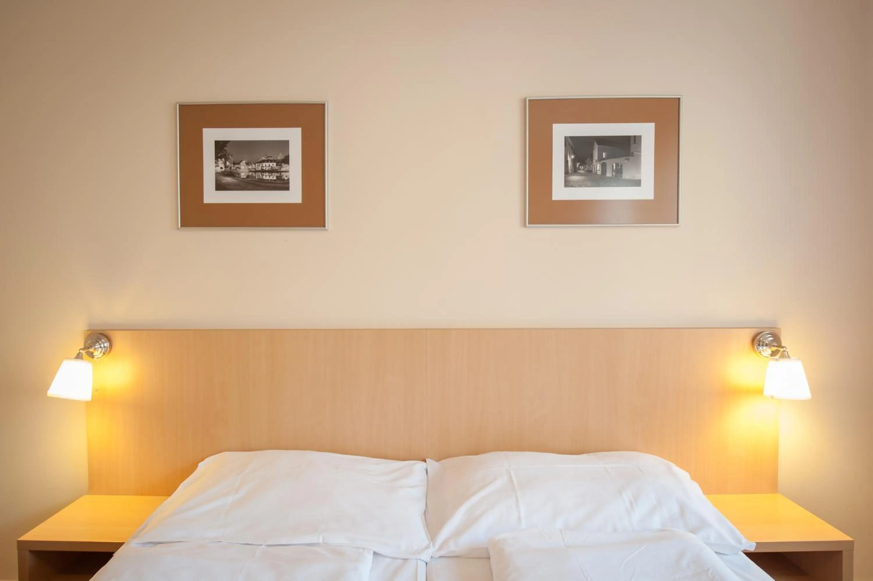 Bedroom in Hotel v Centru