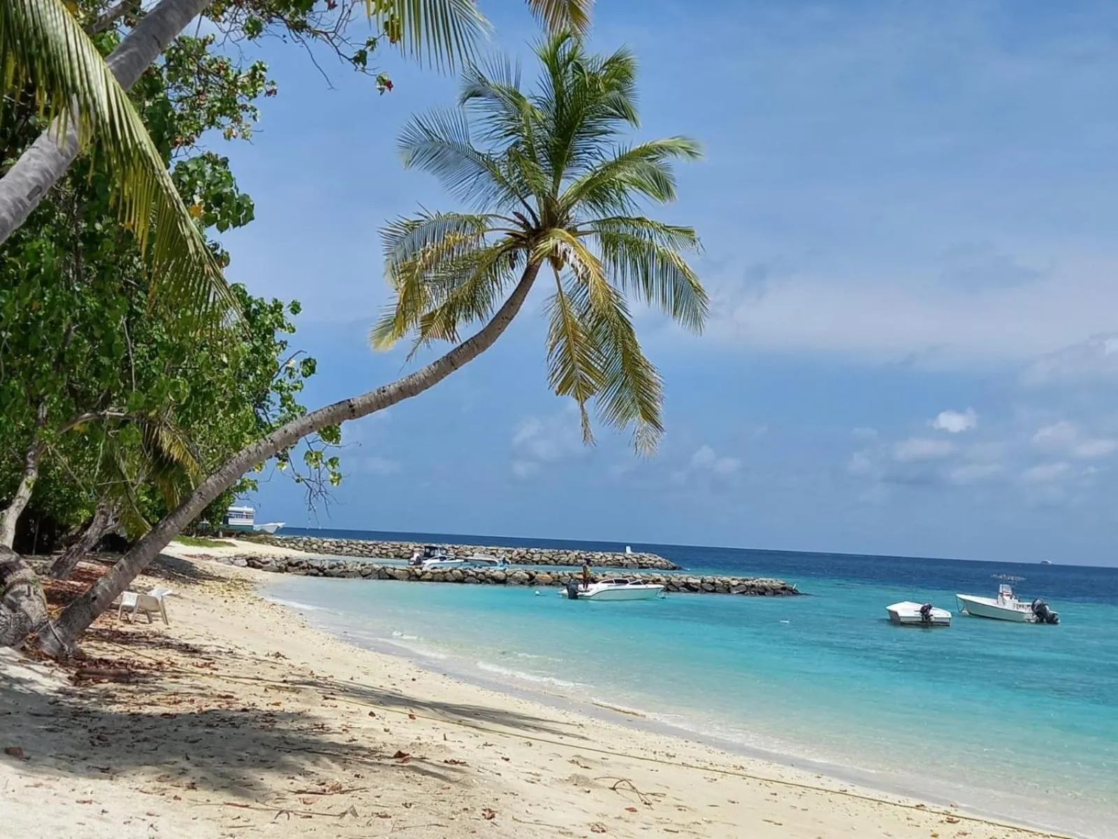 Beach in Fins Dive and Leisure Hotel
