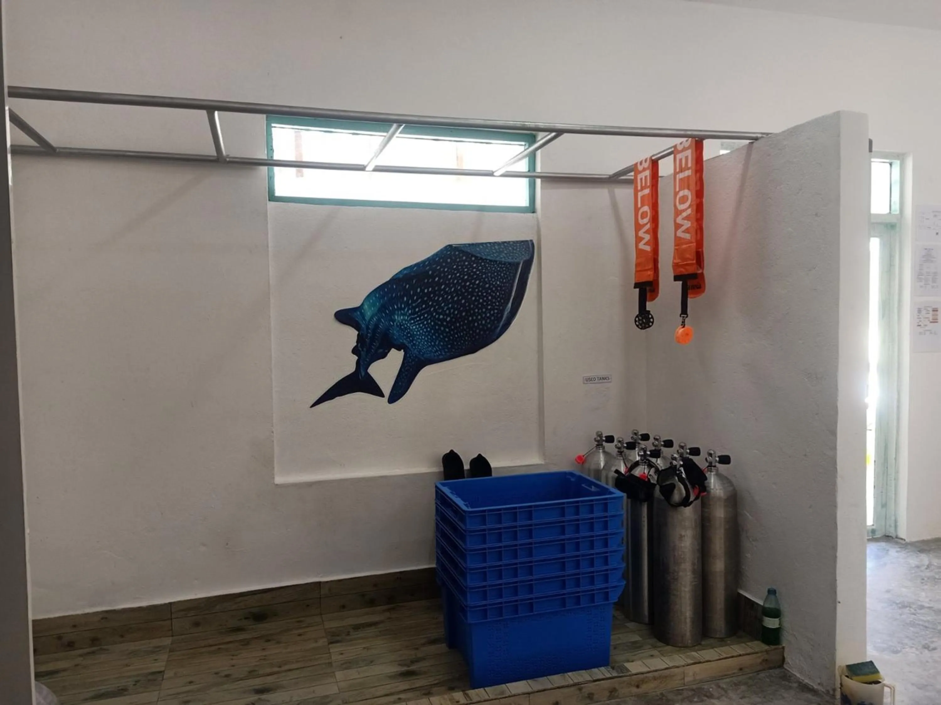 Diving in Fins Dive and Leisure Hotel