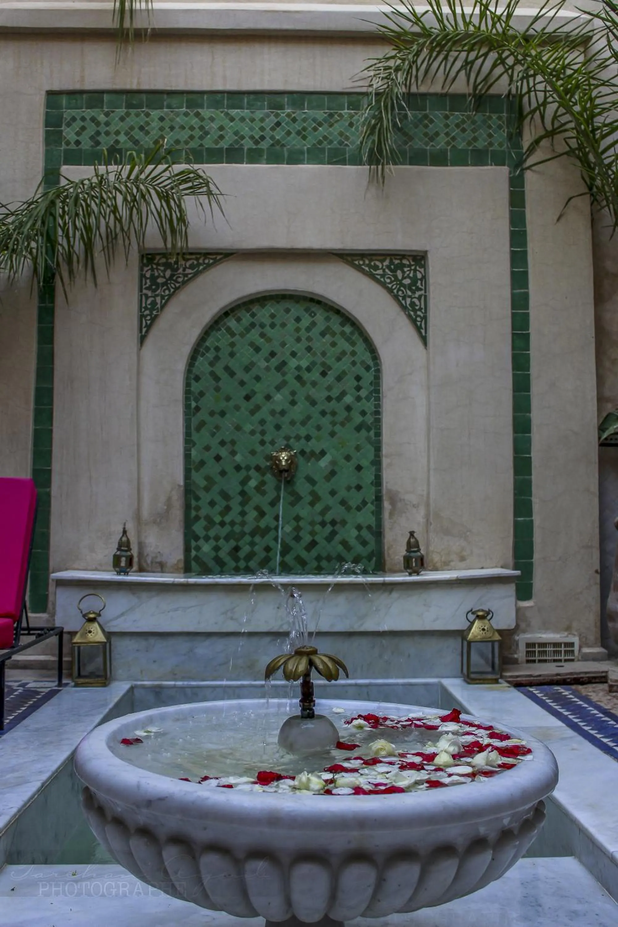Swimming pool in Riad Dar Habiba by Garden Wonders
