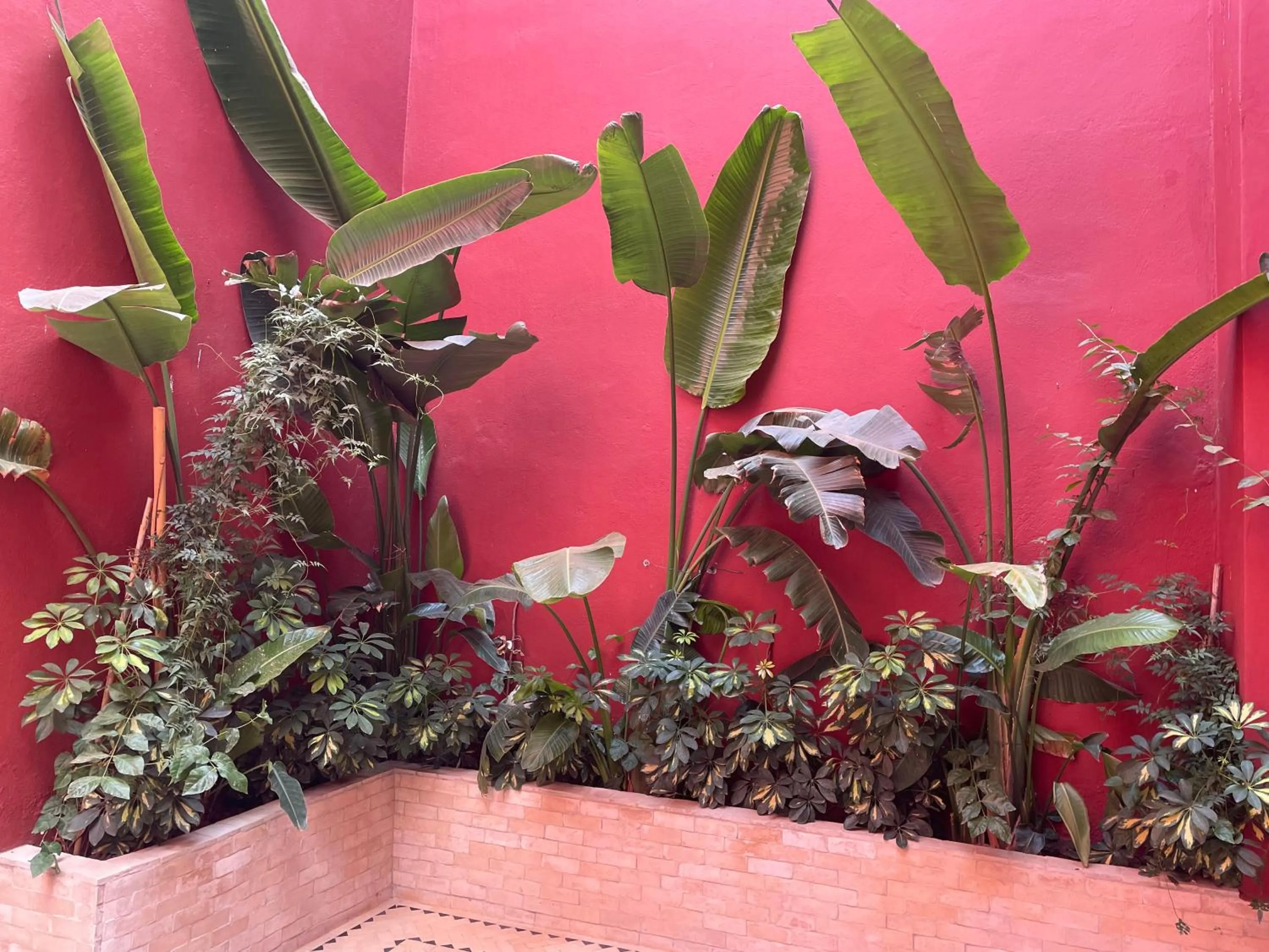 Patio in Riad l'Escale de Marrakech