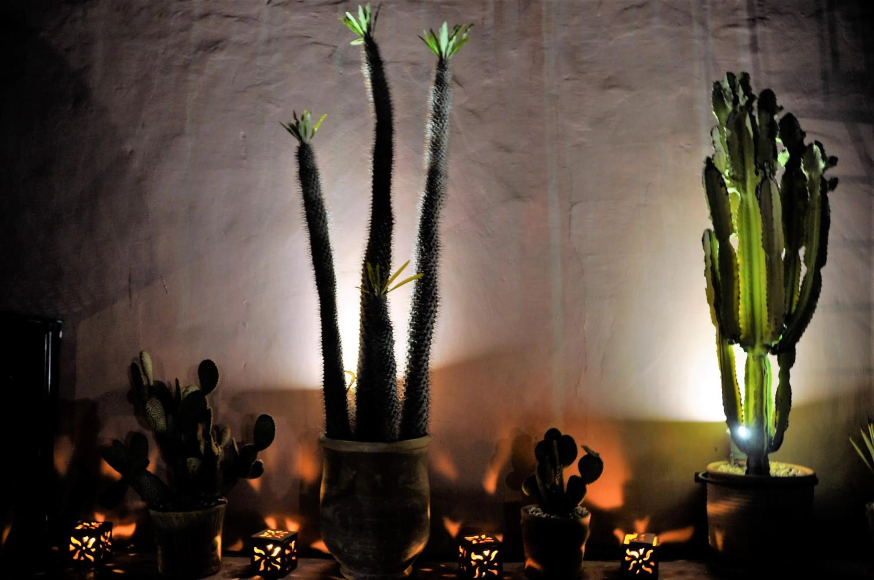 Balcony/Terrace in Riad l'Escale de Marrakech
