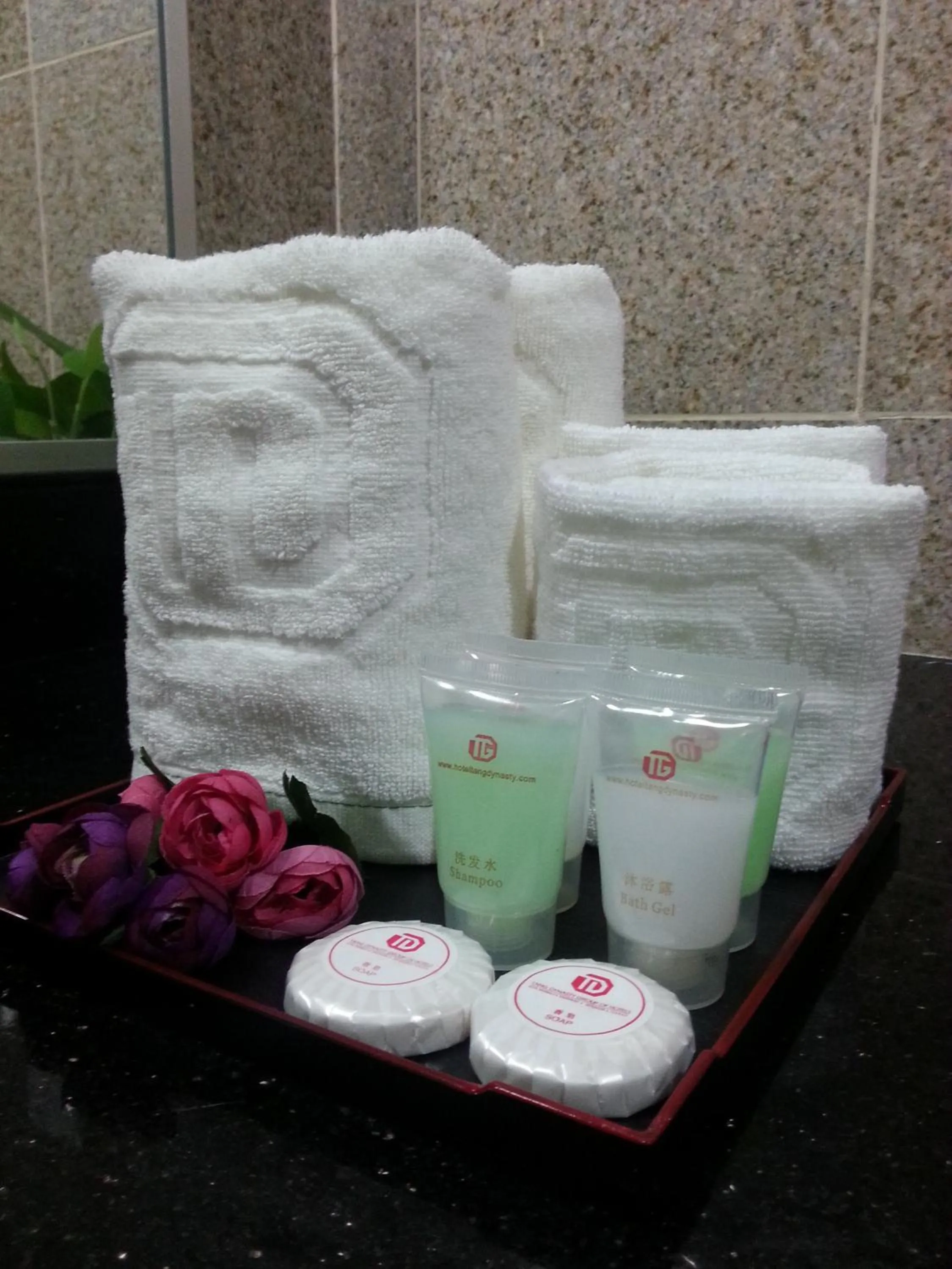 Other in TD Plaza Hotel