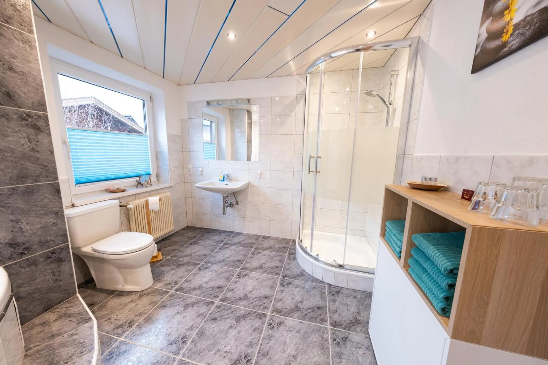 Toilet in Ferienwohnungen Hochserles