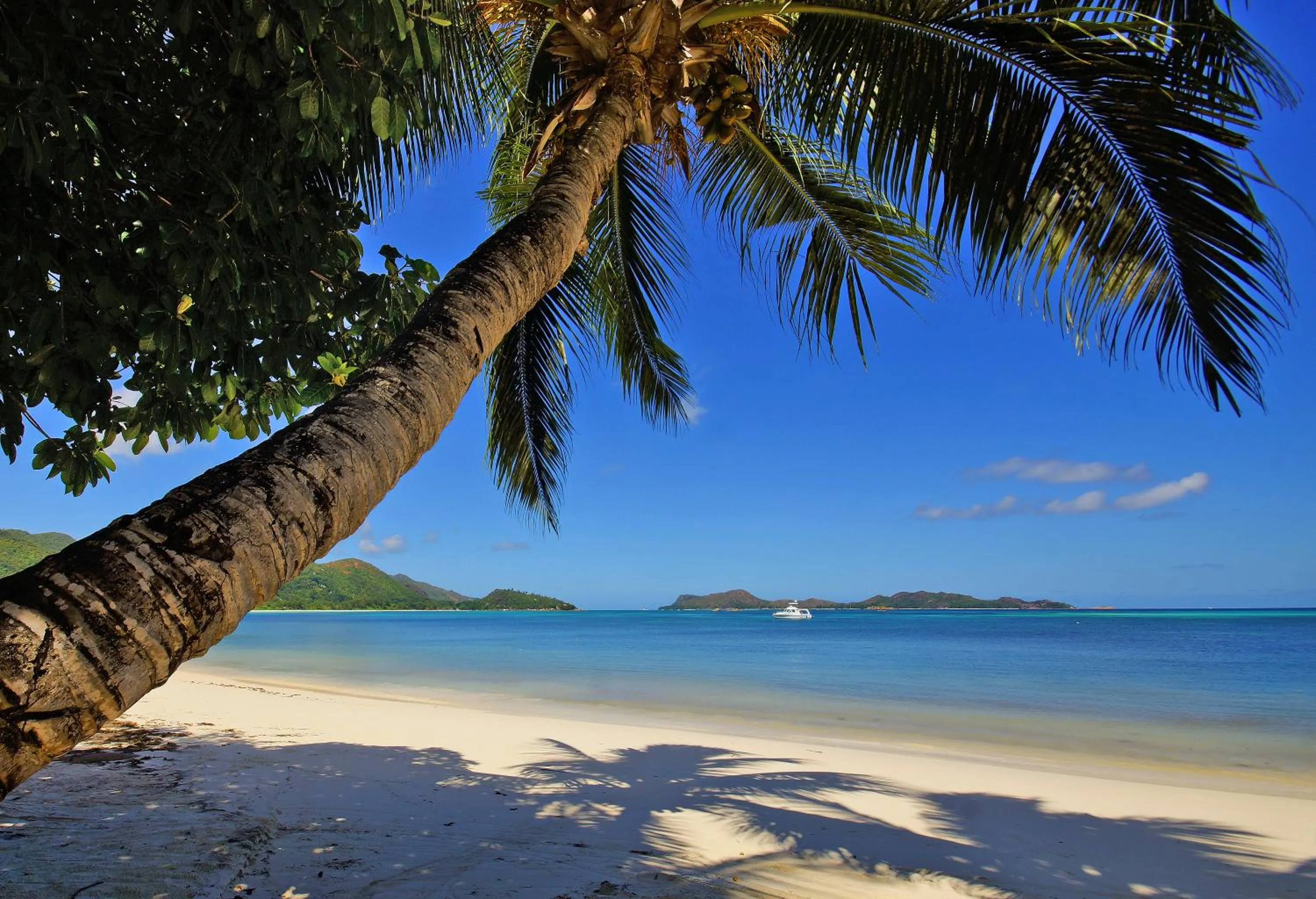 Beach in Hotel L'Archipel