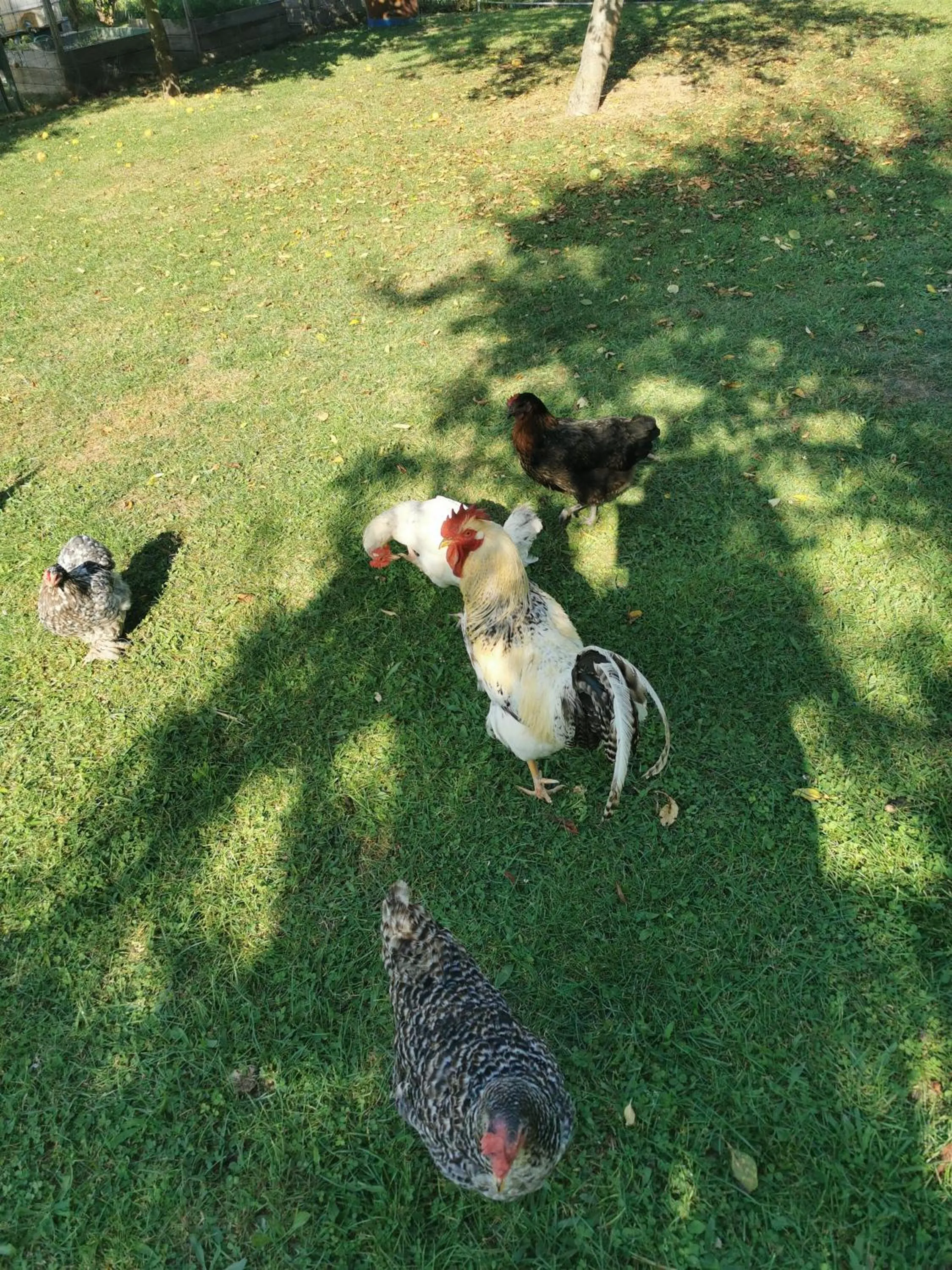 Bienvenue chez moi à Concevreux