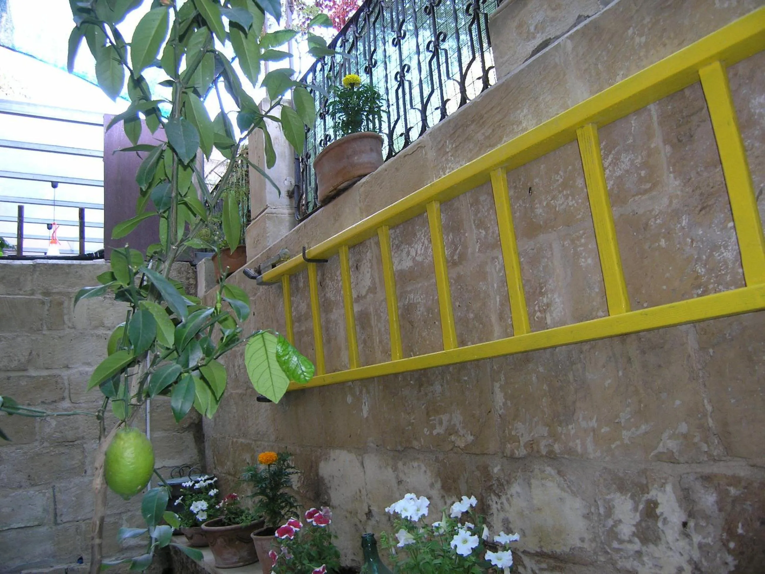 Balcony/Terrace in B&B Malennio