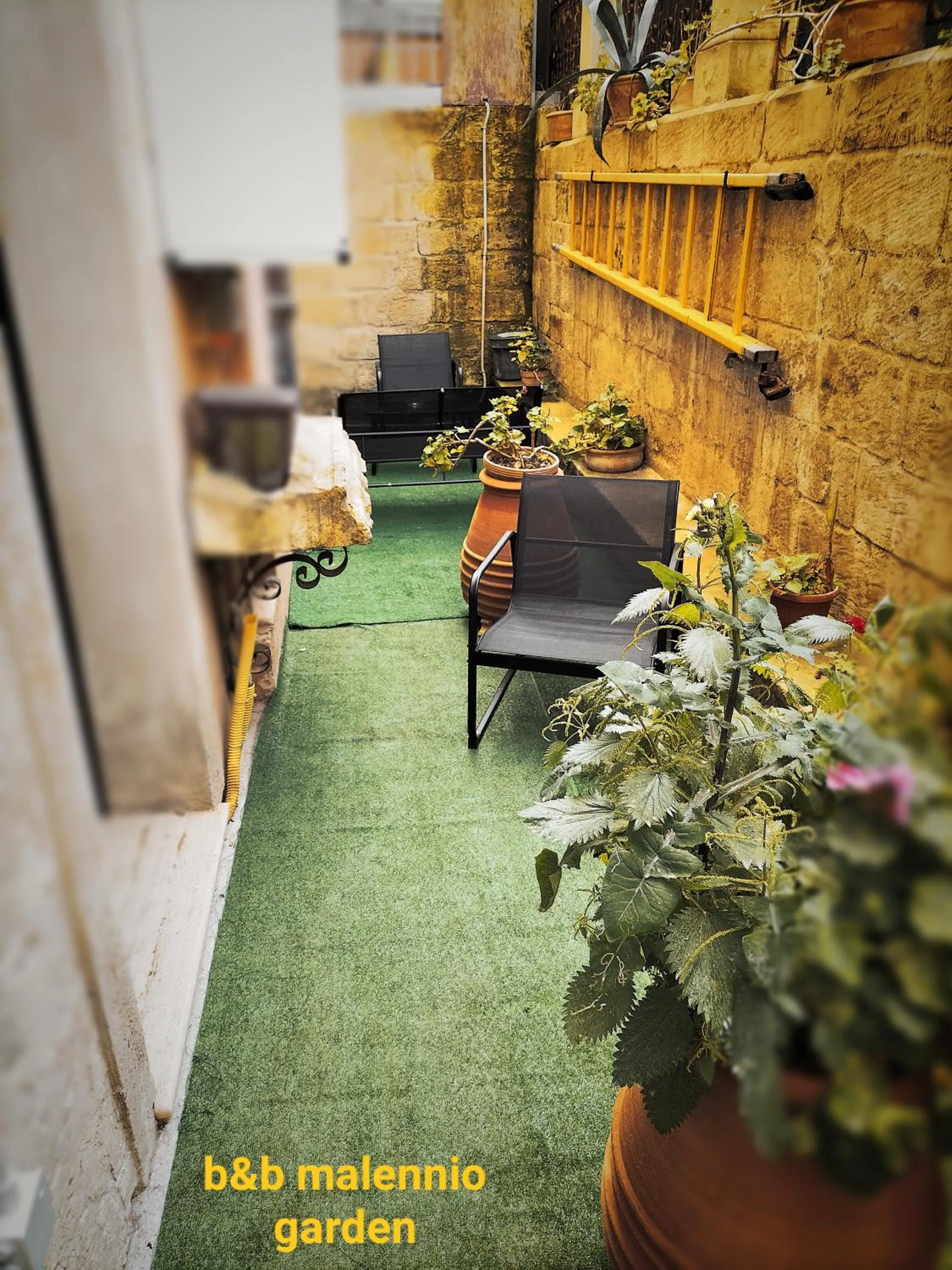 Patio in B&B Malennio