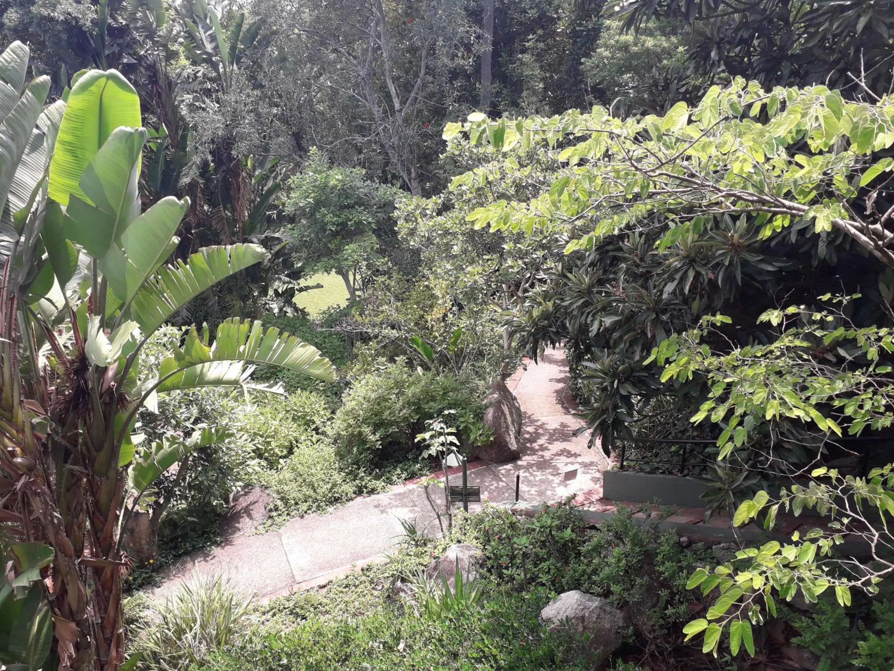 Garden in Jörn's Gästehaus