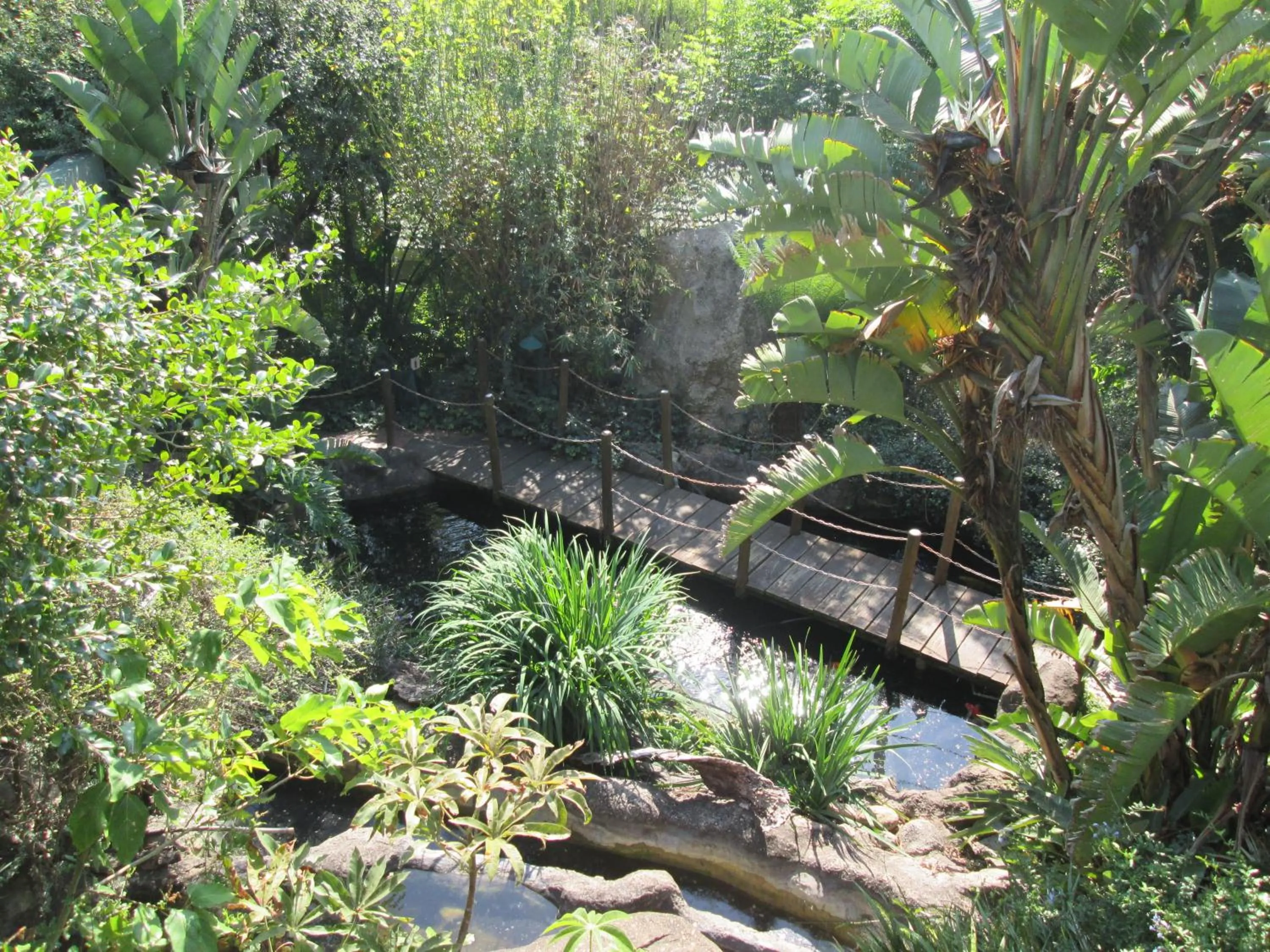 Garden in Jörn's Gästehaus