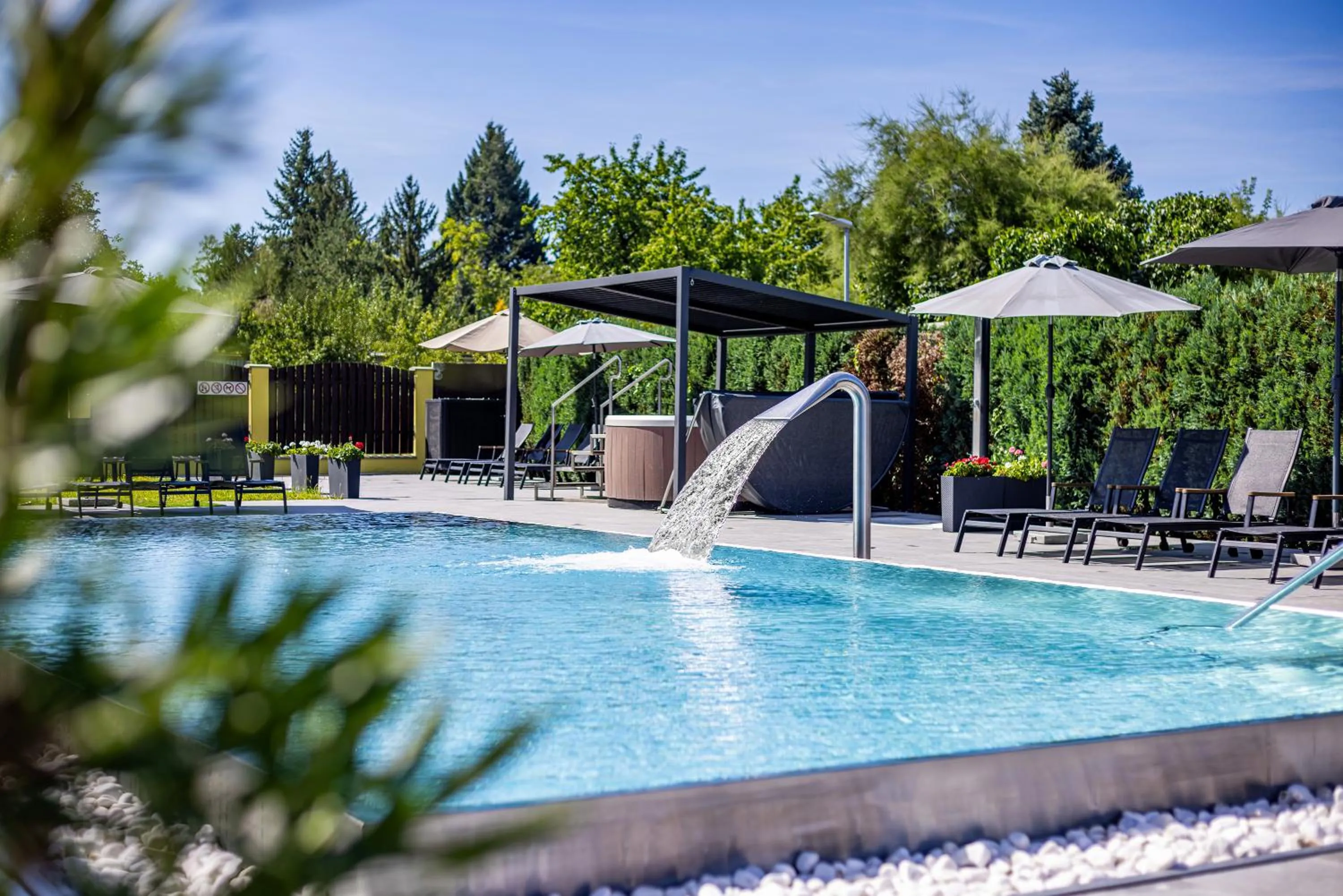 Swimming pool in Hotel Aura Design & Garden Pool