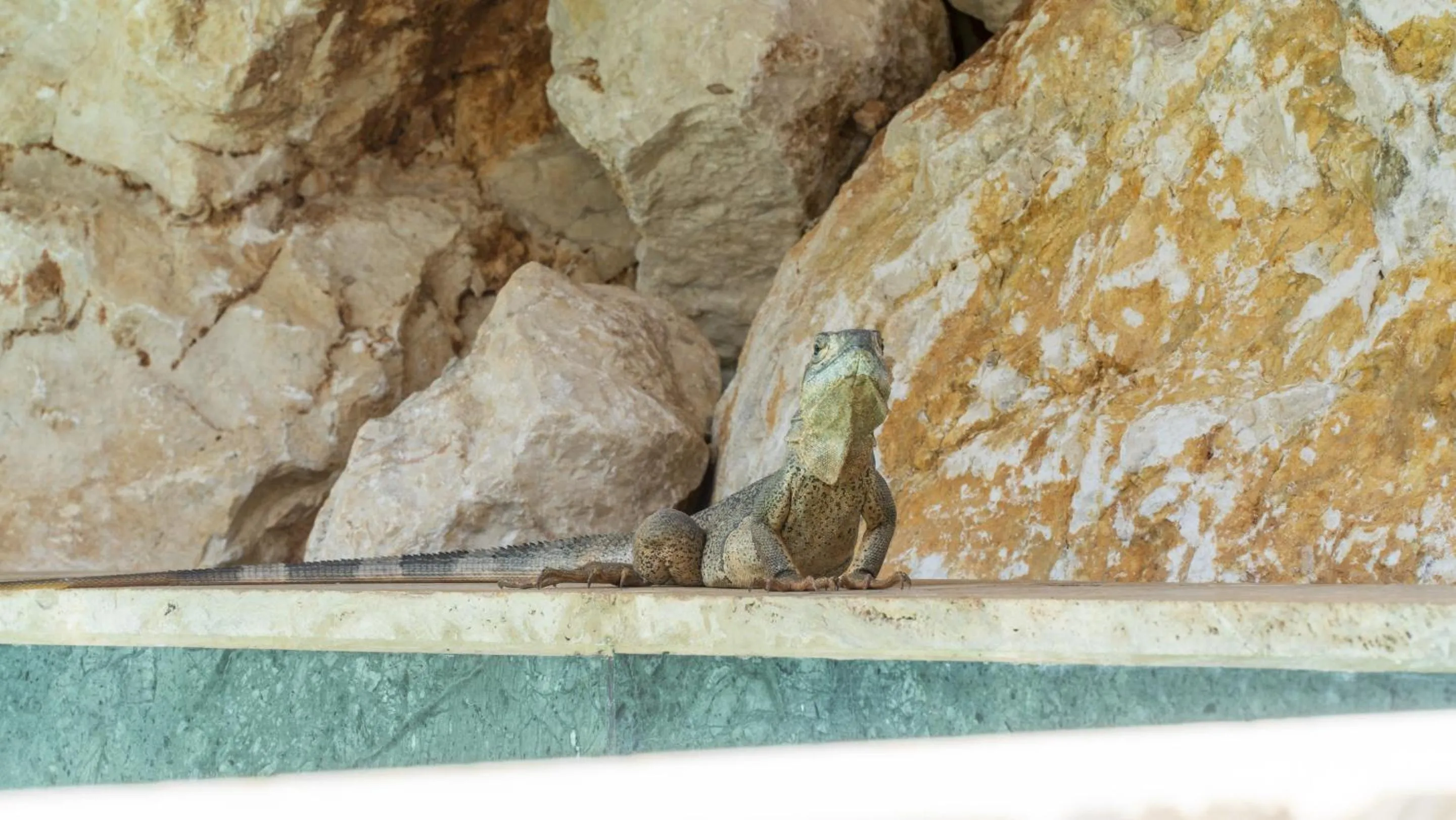 Property building in LA QUEBRADA ECO LODGE Hotel Boutique