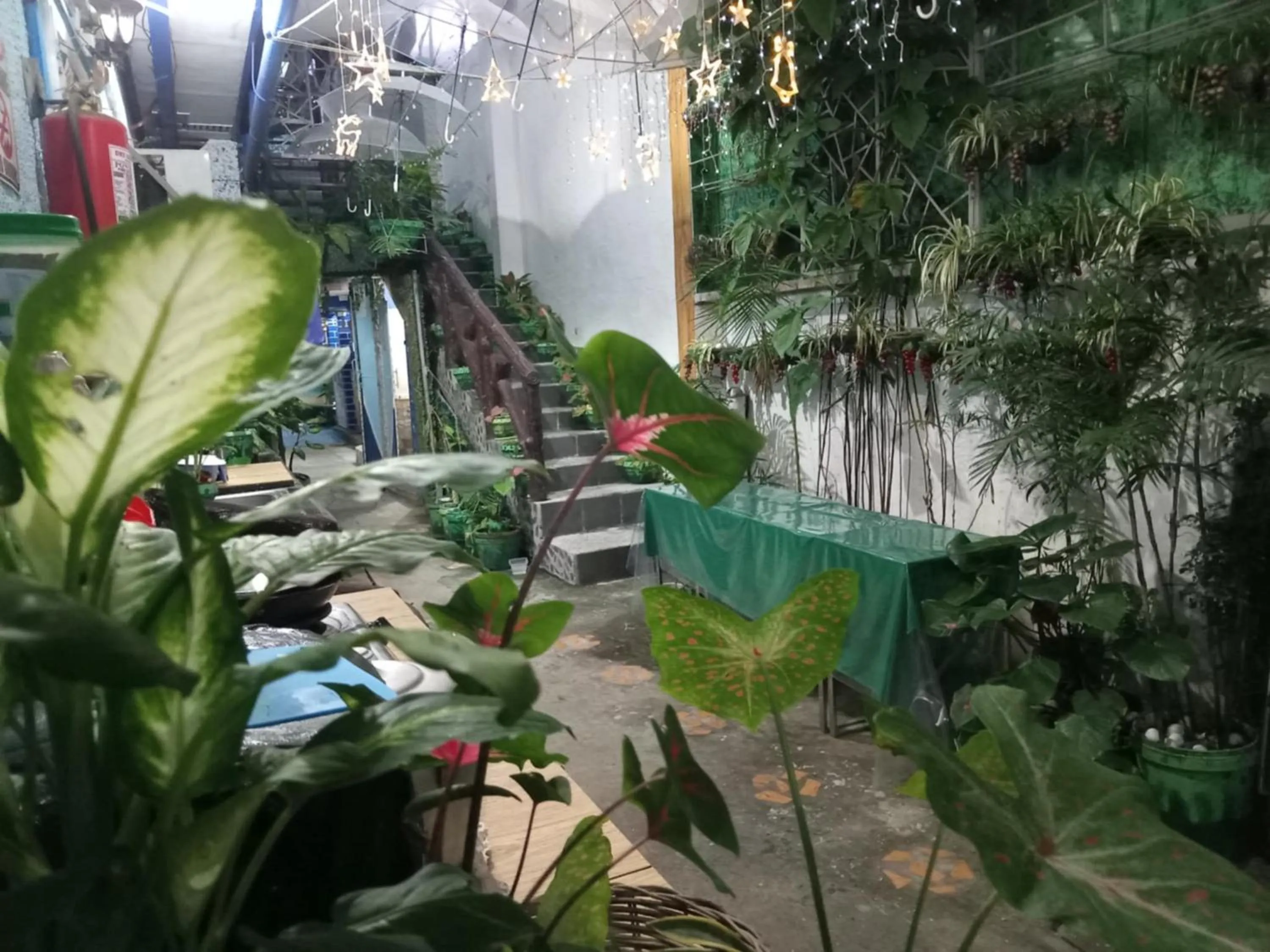 Property building in Daniela's Place