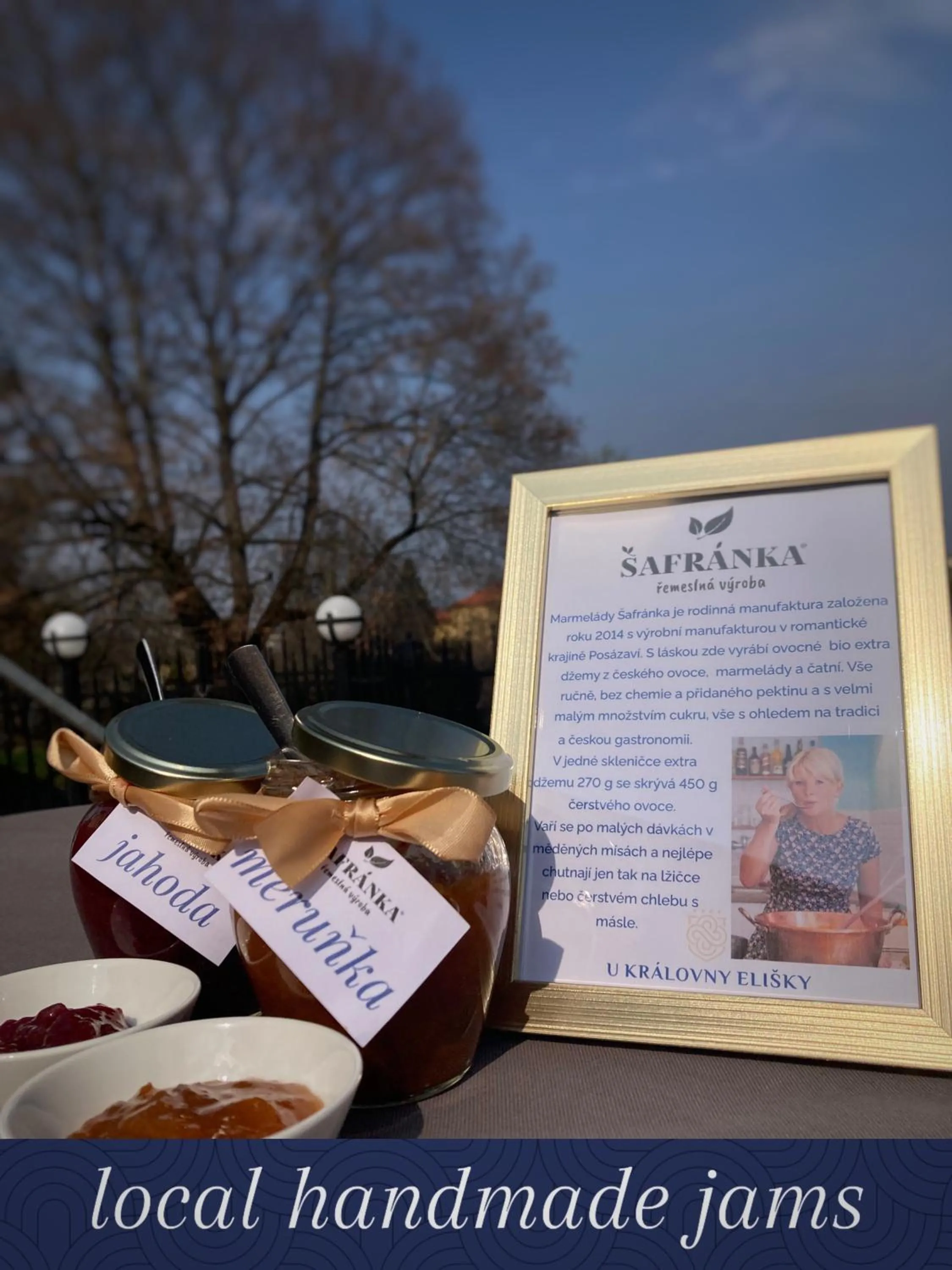 Breakfast in Hotel U Královny Elišky