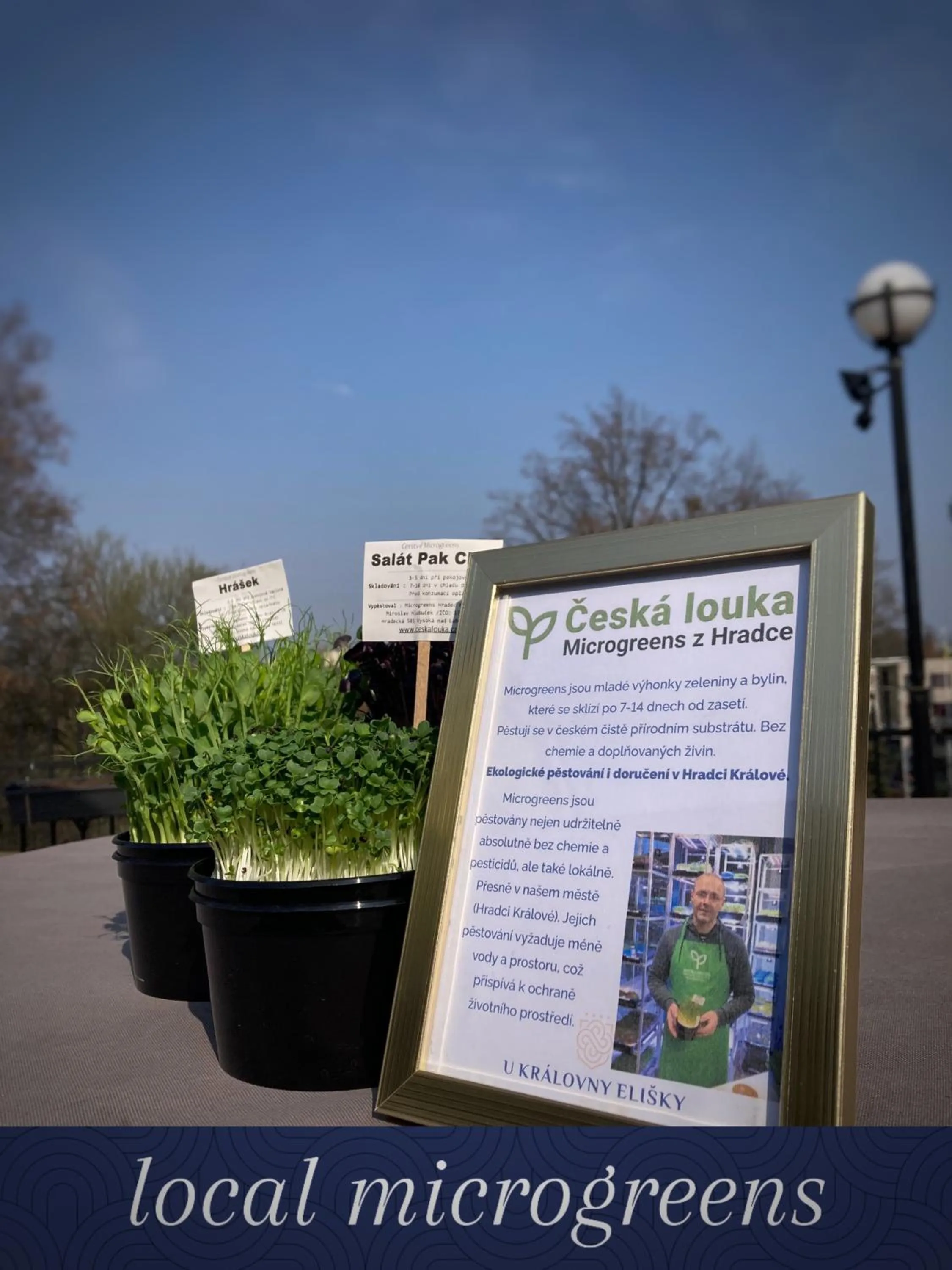 Breakfast in Hotel U Královny Elišky