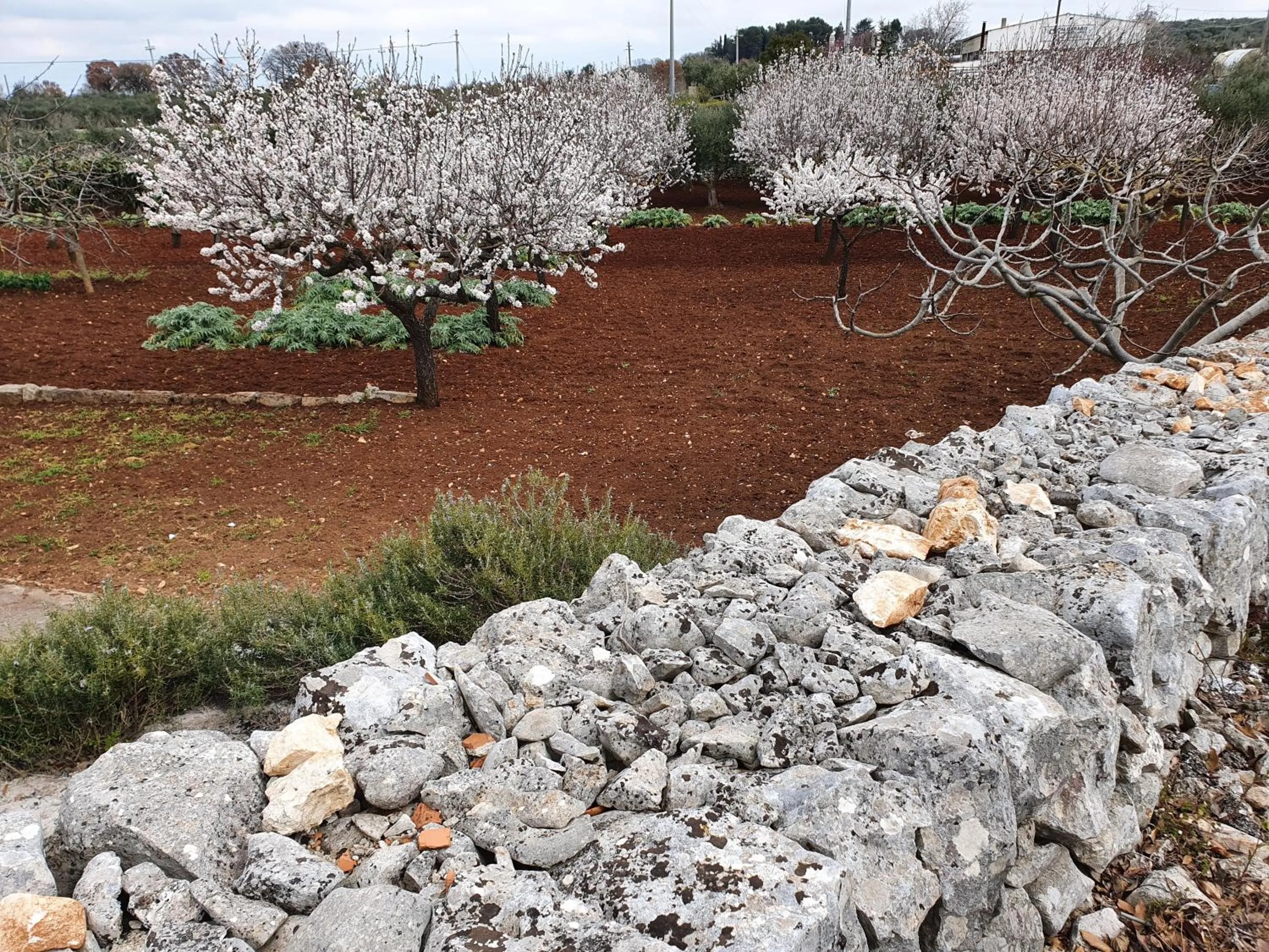Natural landscape in Mamapulia Home